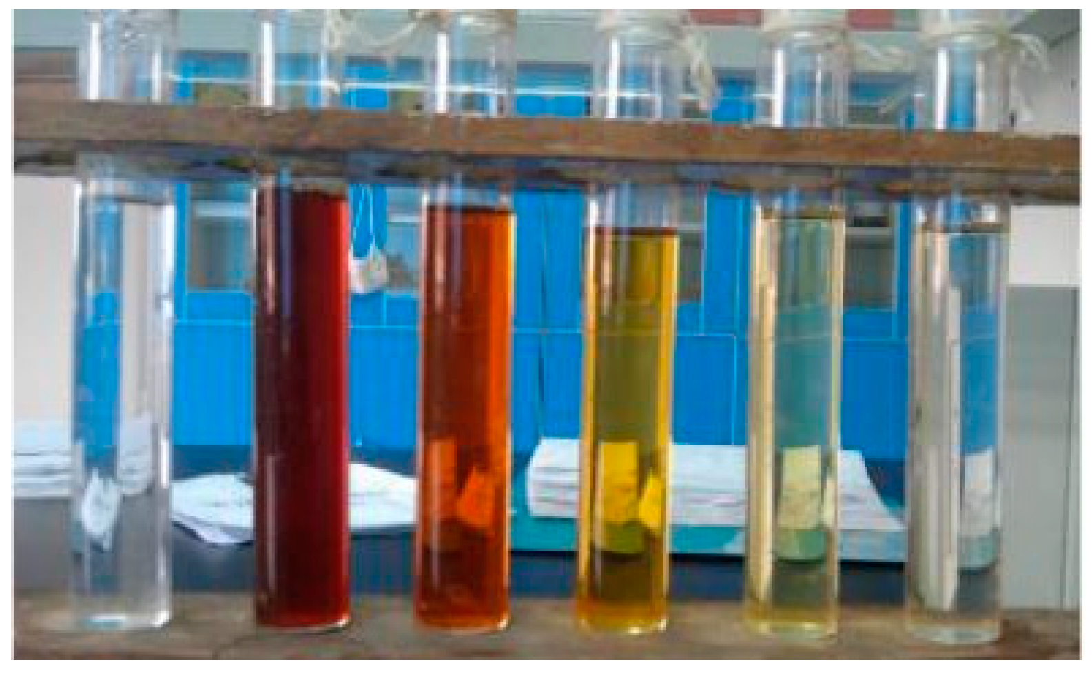 Catalysts 09 00011 g010 Catalysts 09 00011 g010