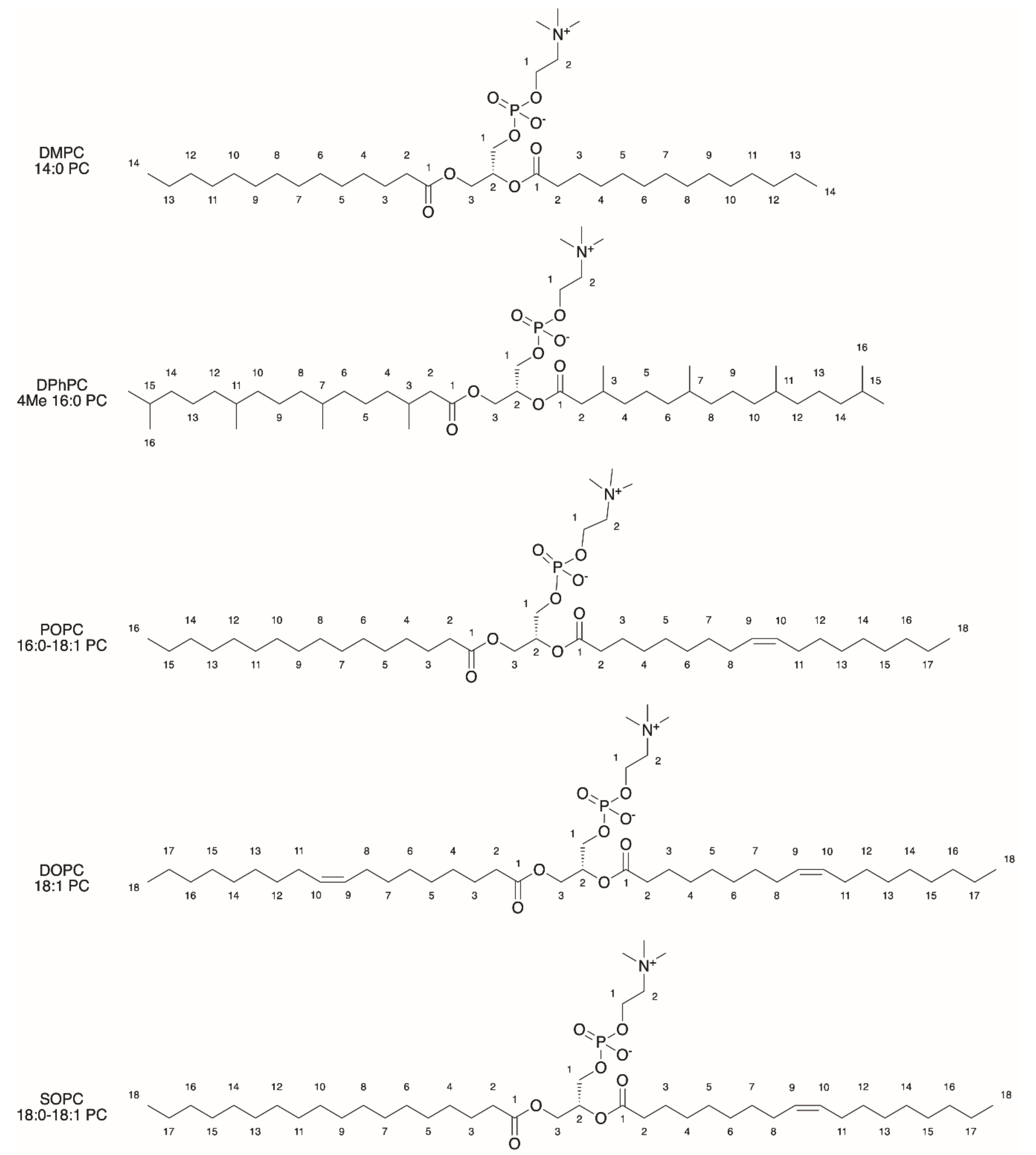 Catalysts 09 00012 g001 Catalysts 09 00012 g001
