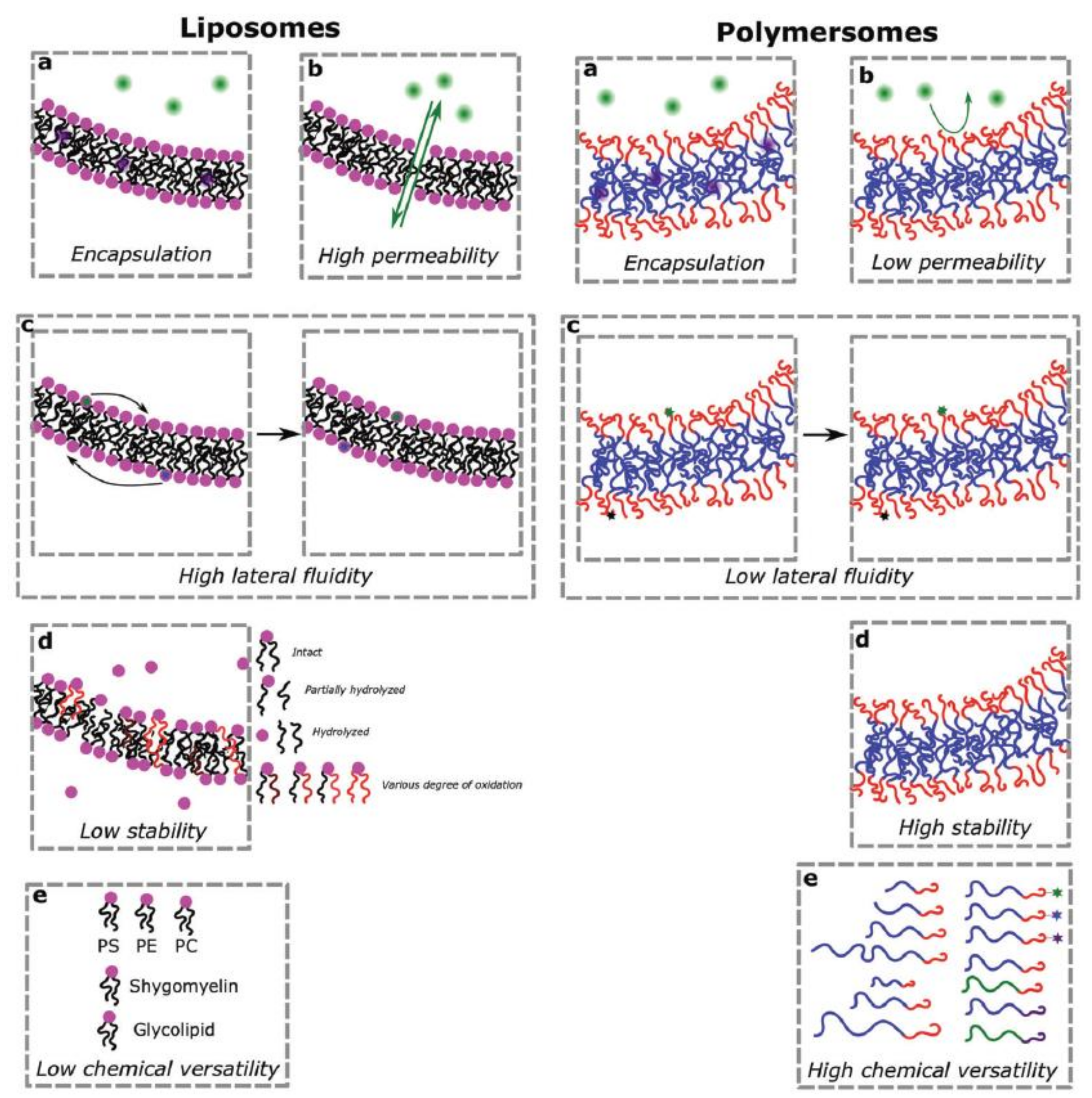 Catalysts 09 00012 g003 Catalysts 09 00012 g003