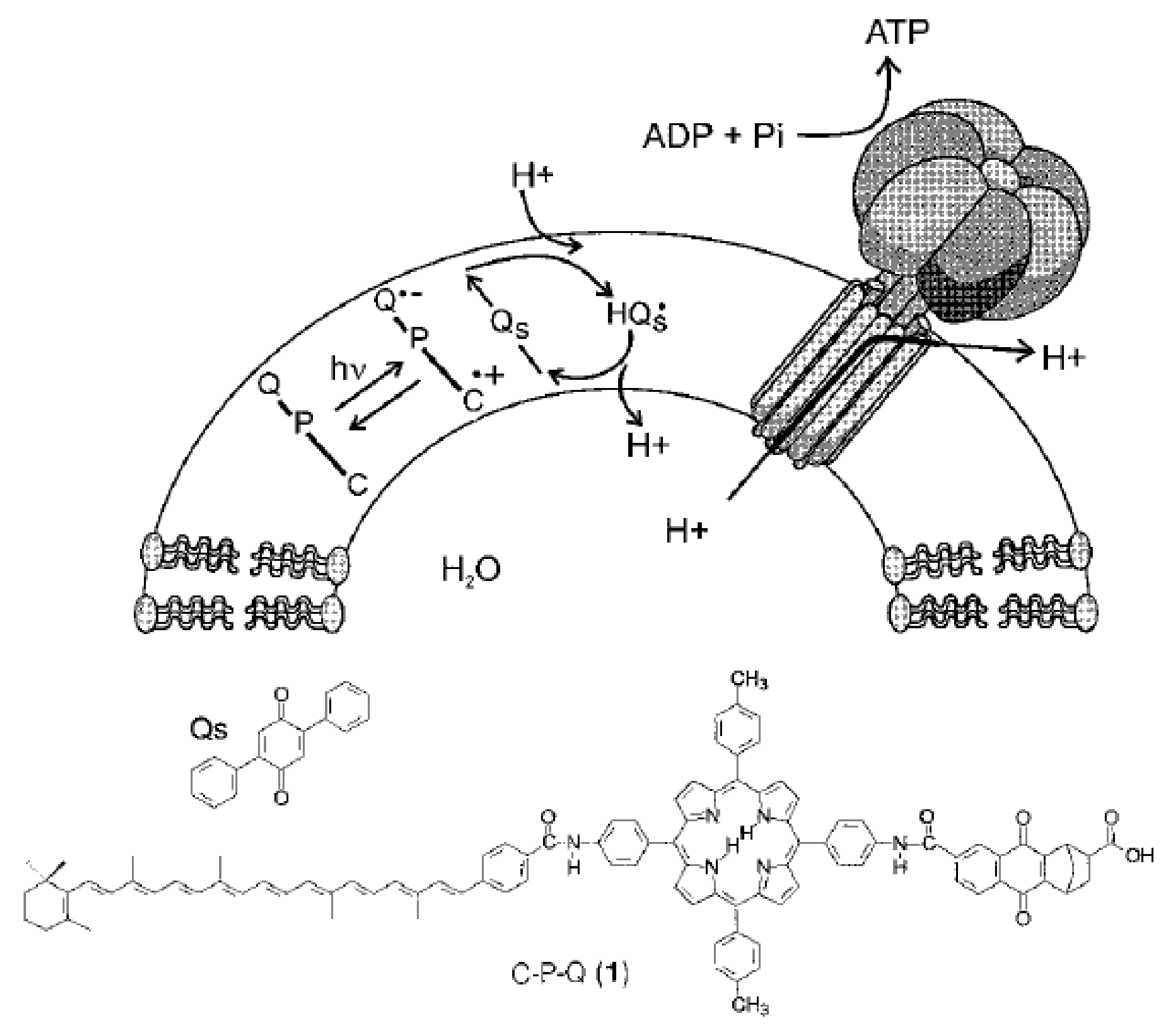 Catalysts 09 00012 g007 Catalysts 09 00012 g007
