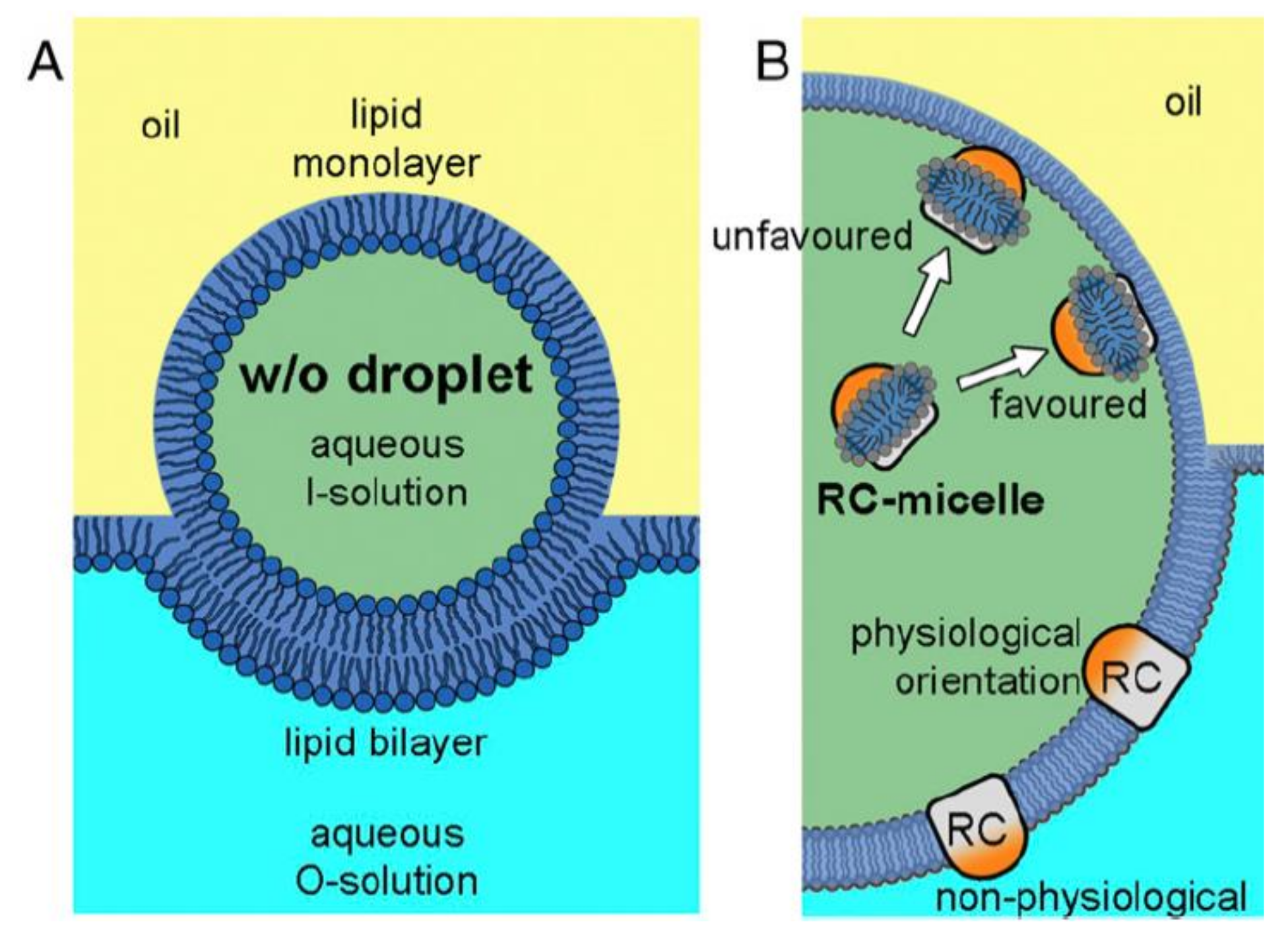 Catalysts 09 00012 g008 Catalysts 09 00012 g008