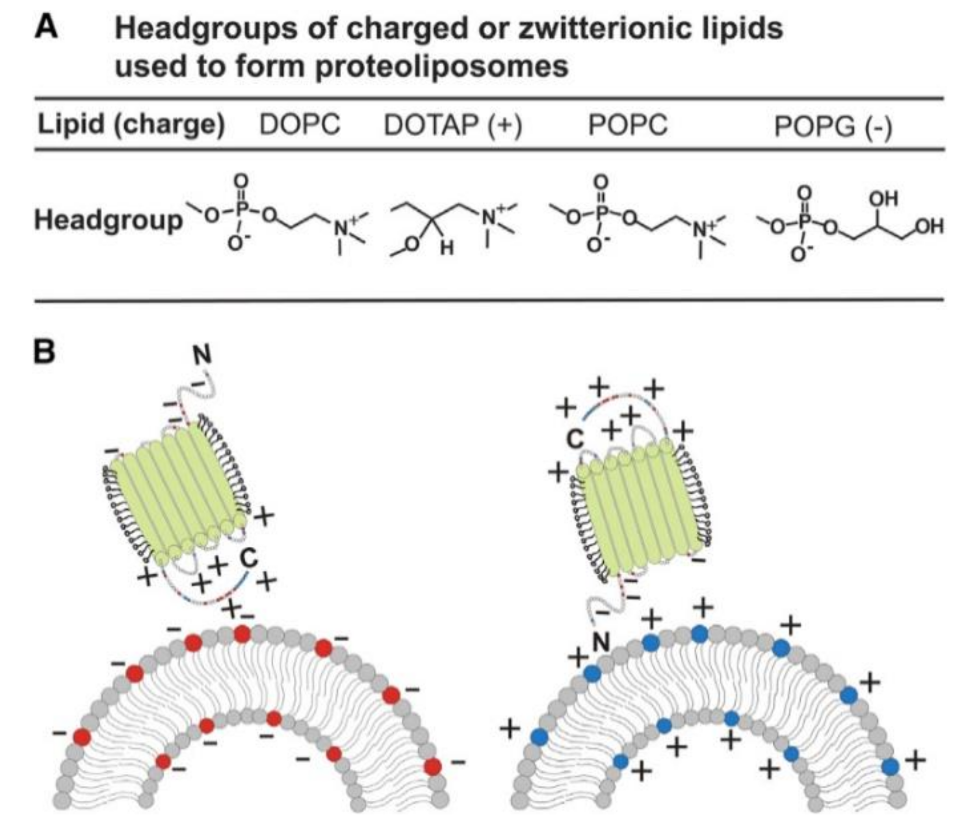 Catalysts 09 00012 g009 Catalysts 09 00012 g009