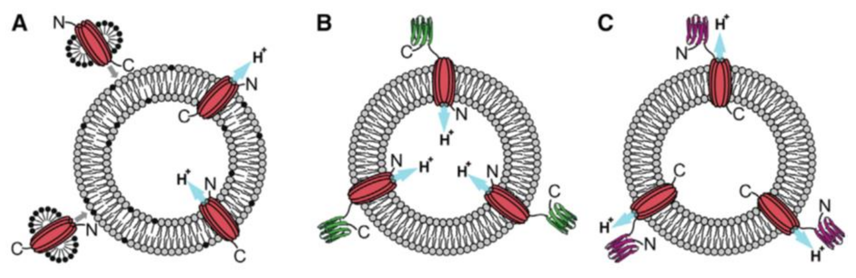 Catalysts 09 00012 g010 Catalysts 09 00012 g010