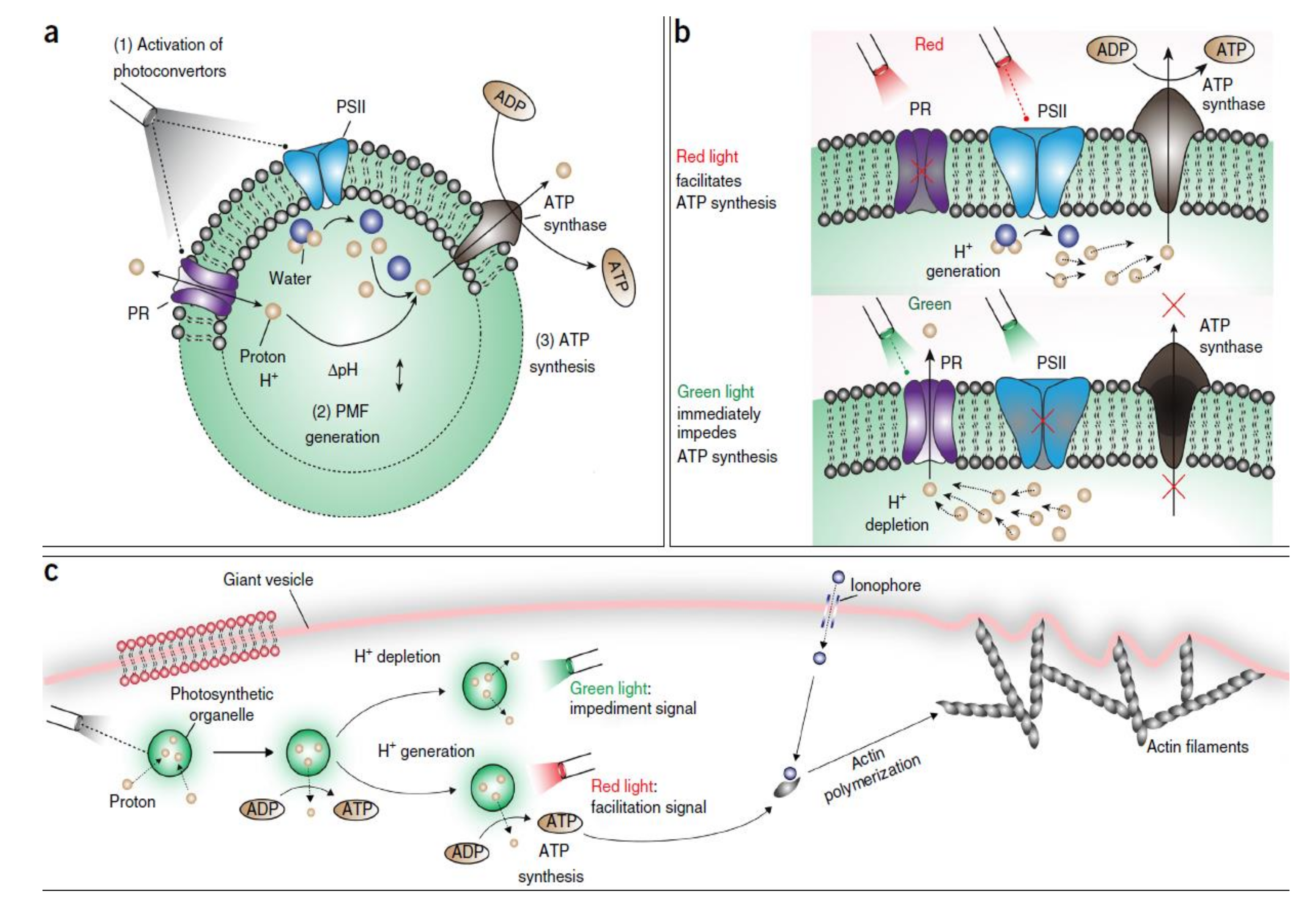 Catalysts 09 00012 g012 Catalysts 09 00012 g012