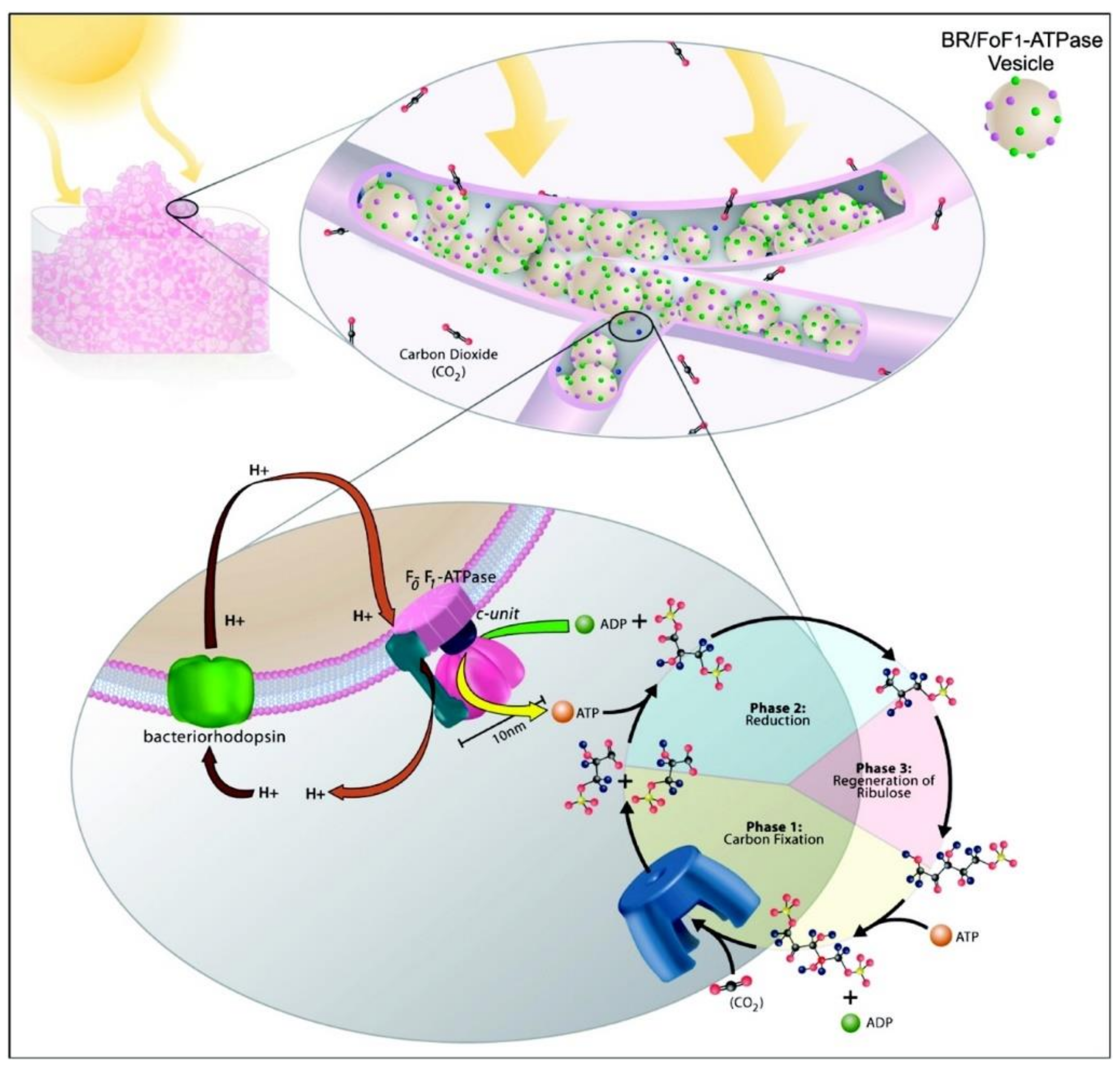 Catalysts 09 00012 g013 Catalysts 09 00012 g013