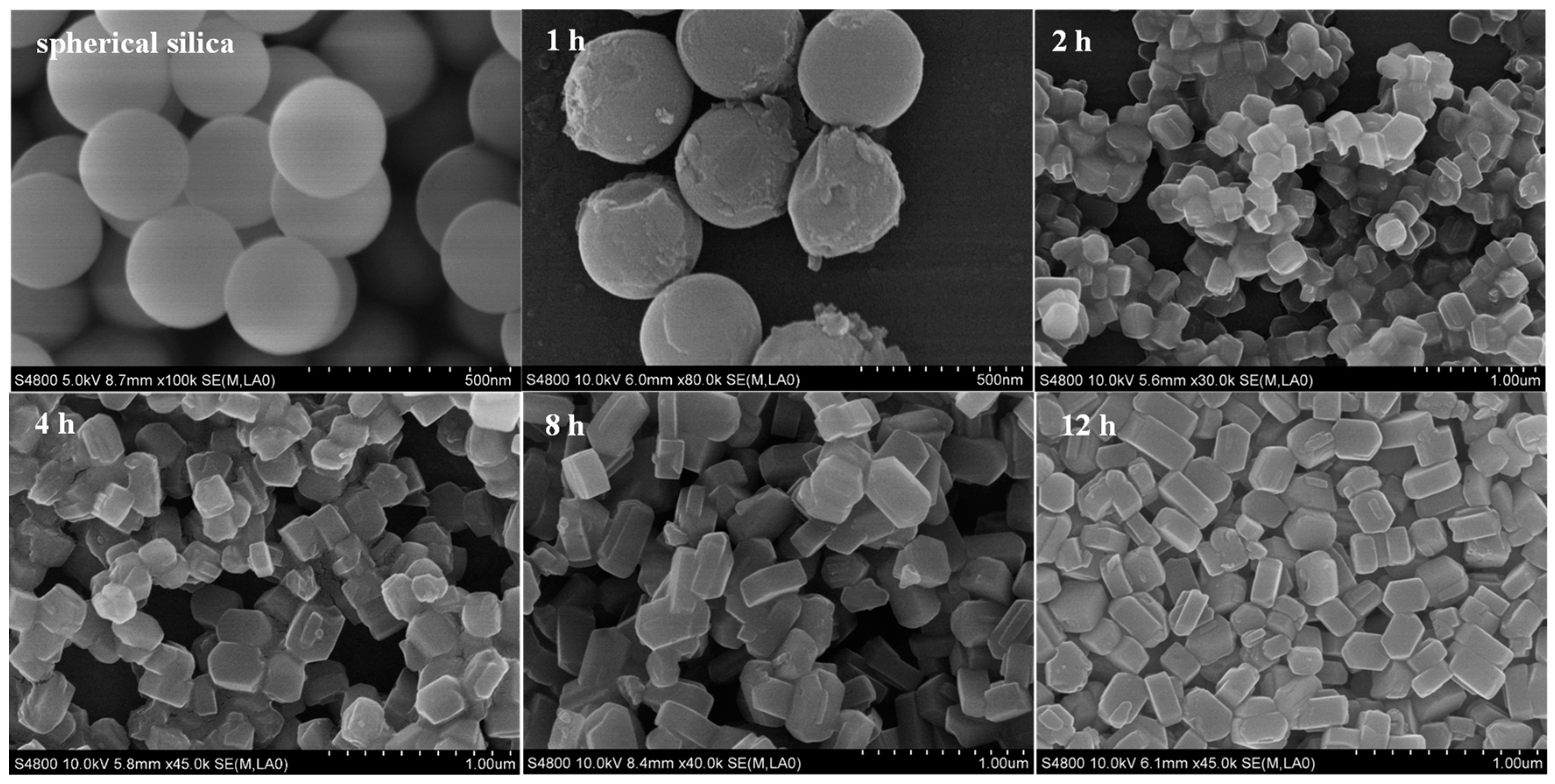 Catalysts 09 00013 g006