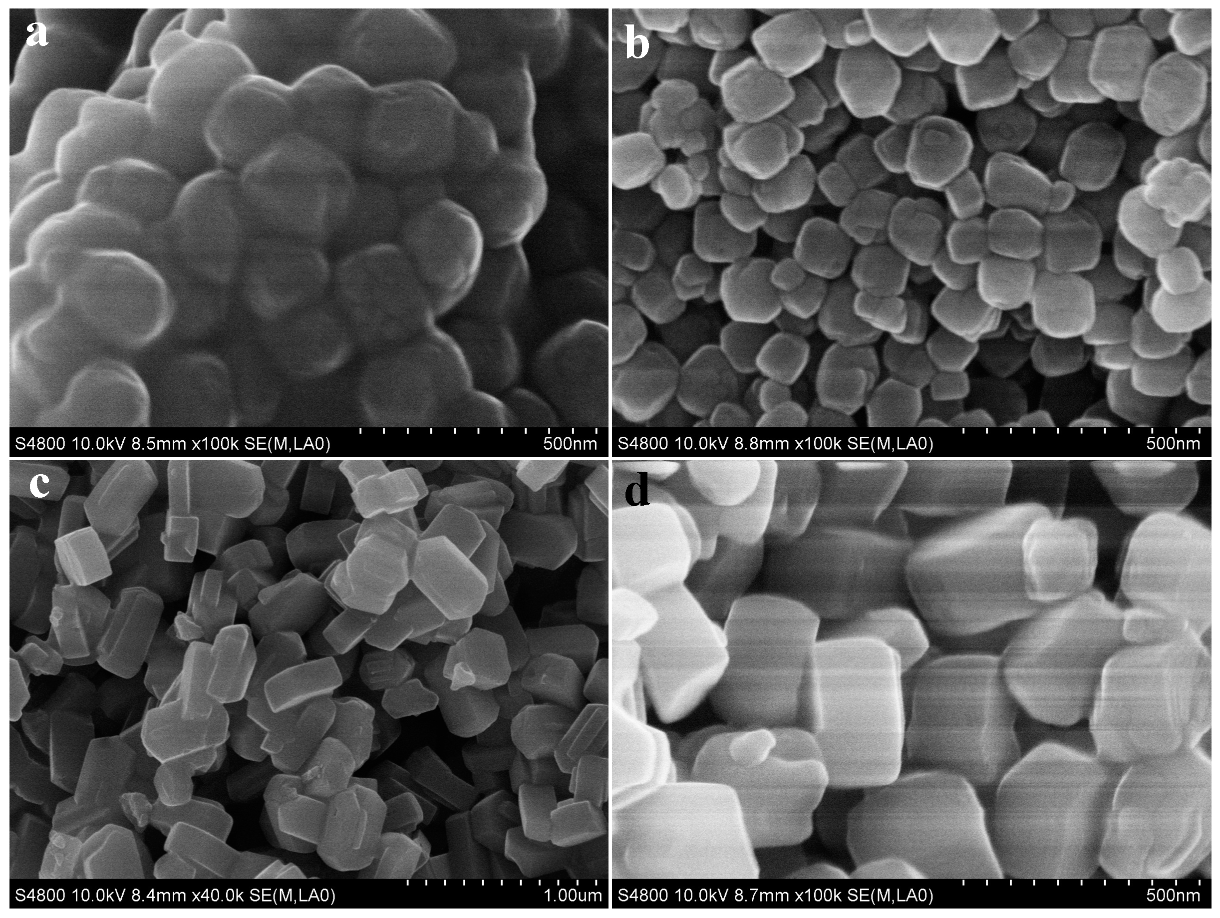 Catalysts 09 00013 g007