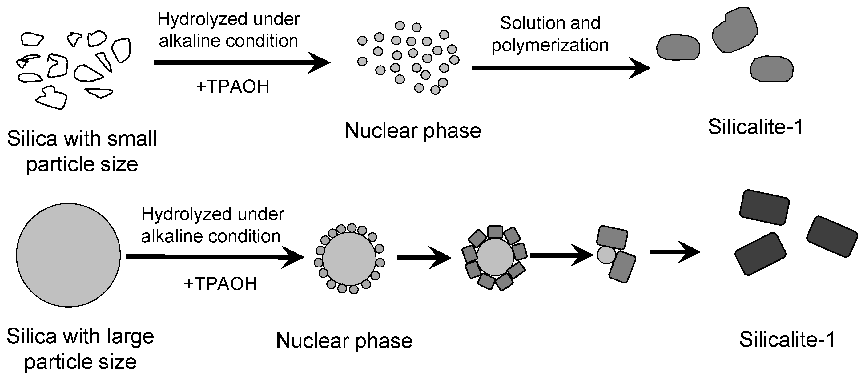 Catalysts 09 00013 g008