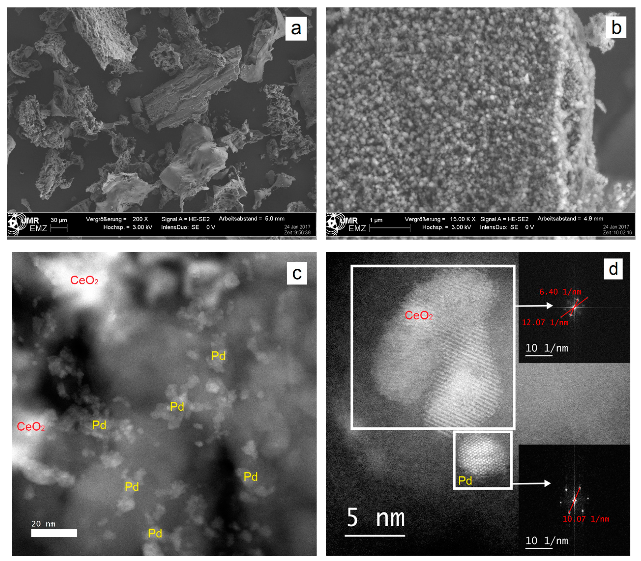 Catalysts 09 00026 g001