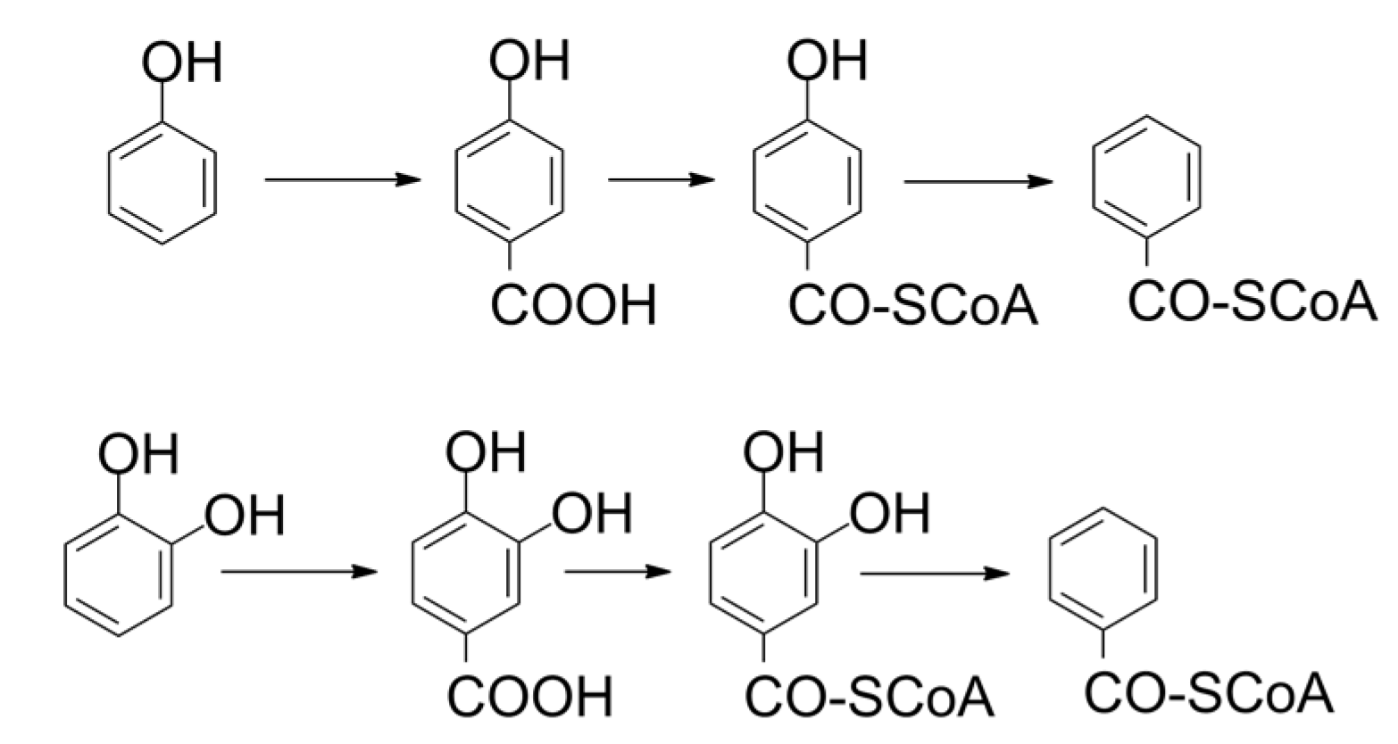 Catalysts 09 00037 g006 Catalysts 09 00037 g006