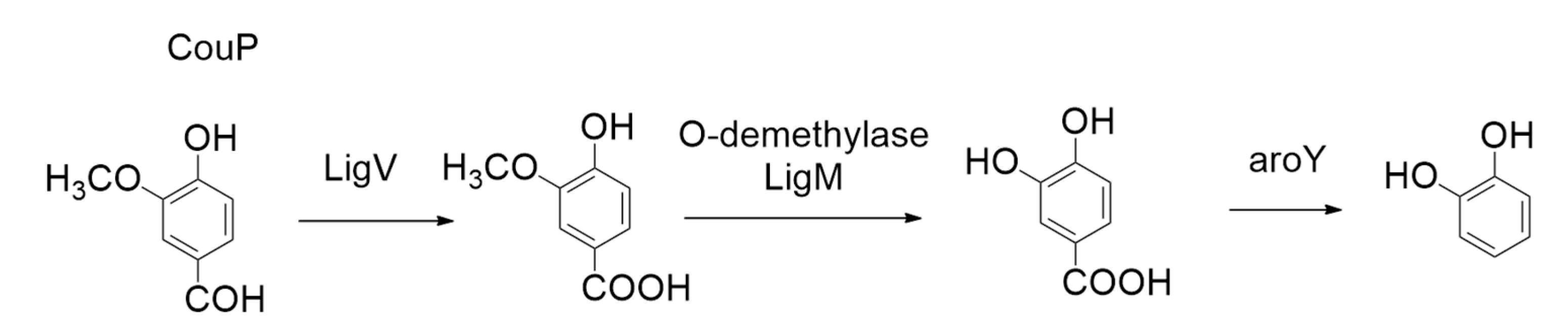 Catalysts 09 00037 g027 Catalysts 09 00037 g027