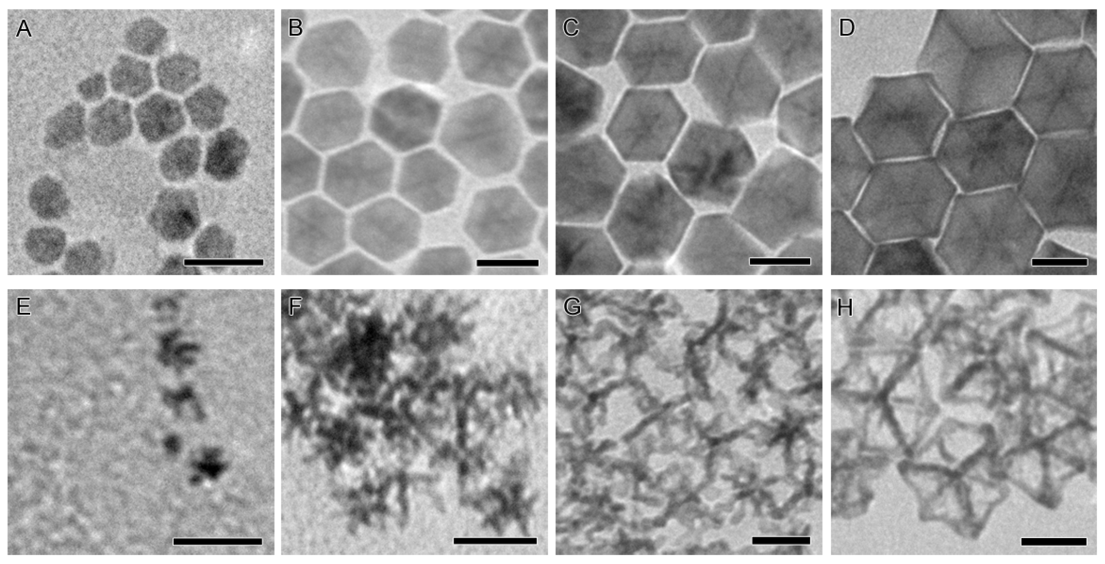 Catalysts 09 00039 g002