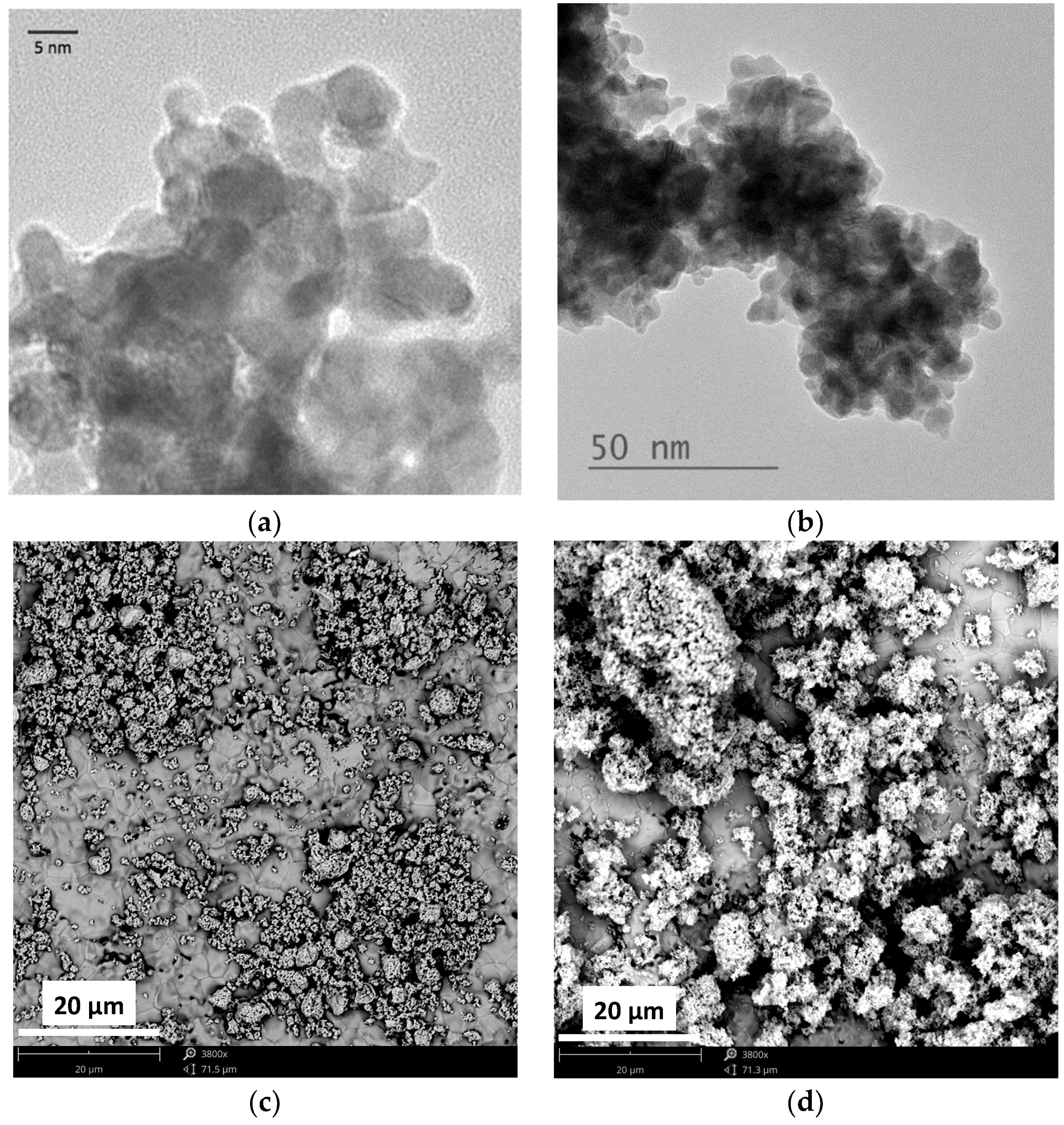 Catalysts 09 00048 g001 550
