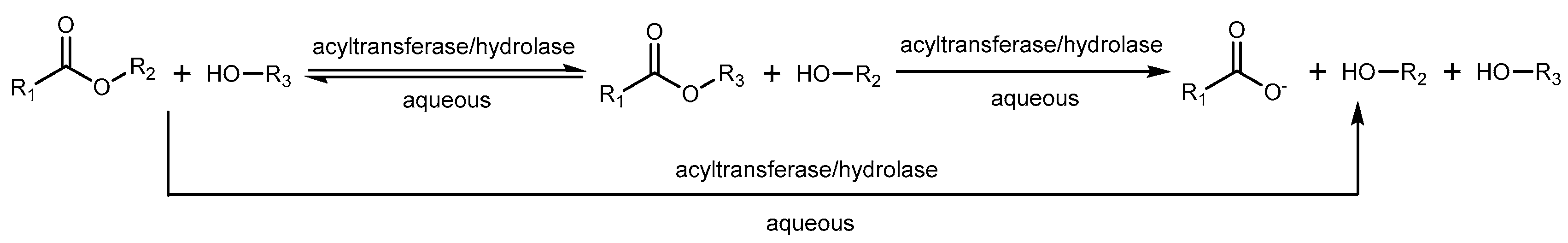 Catalysts 09 00064 sch001