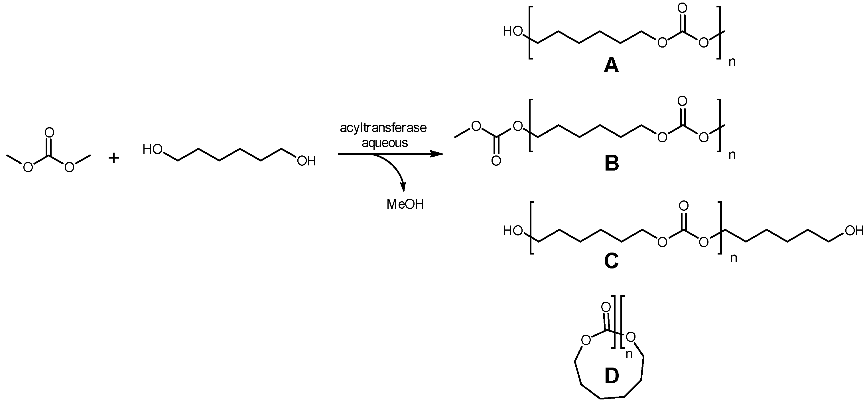 Catalysts 09 00064 sch002