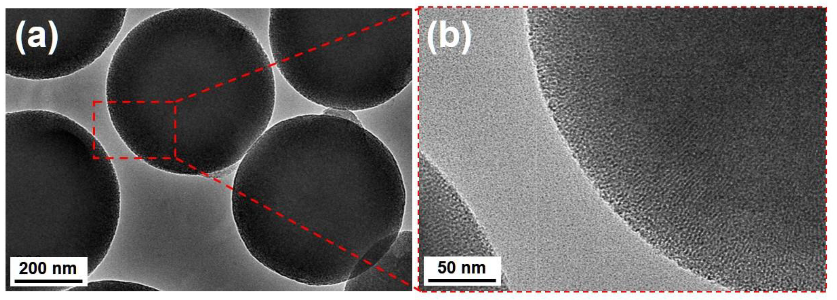 Catalysts 09 00078 g002