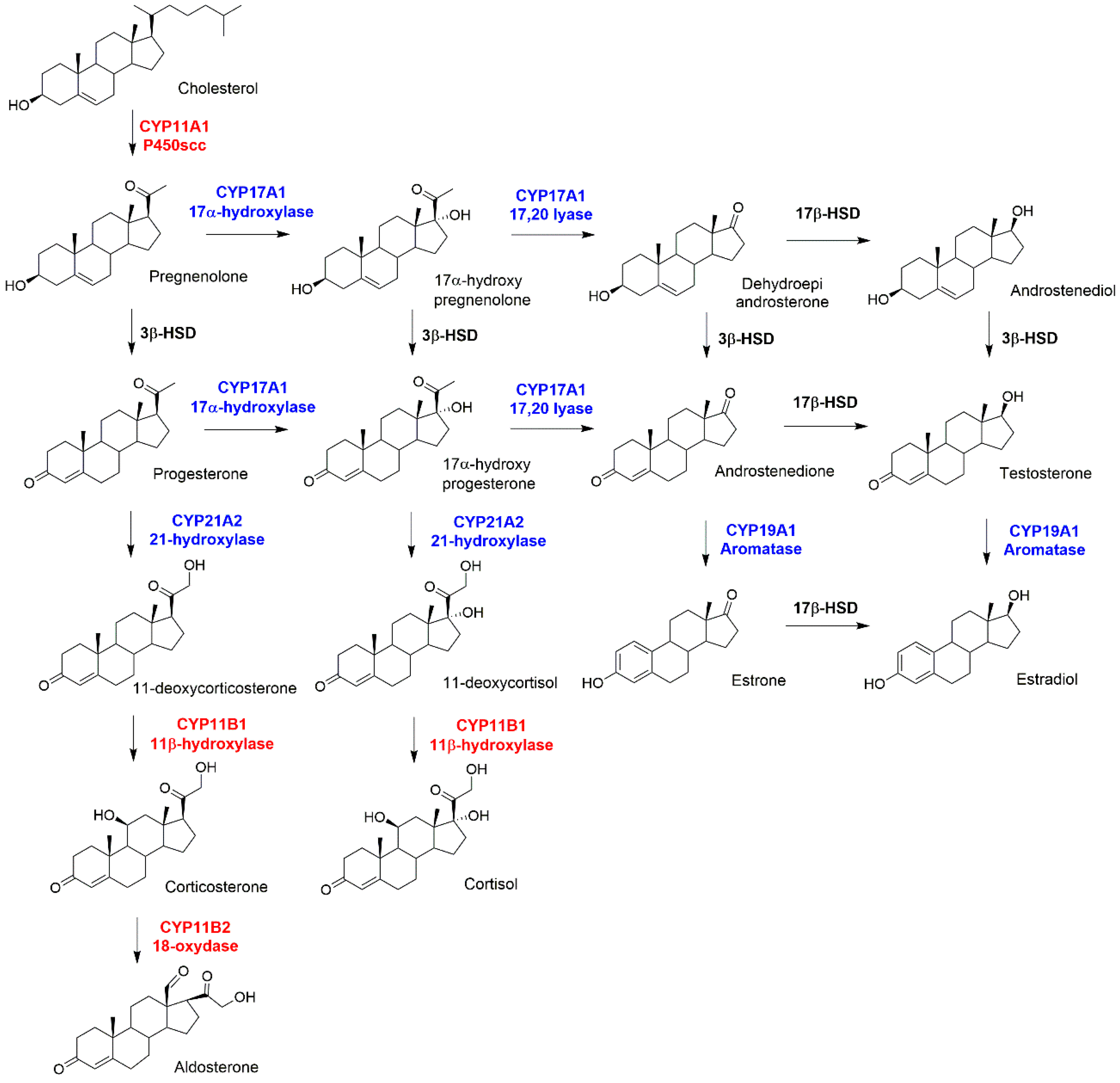 Catalysts 09 00081 g001 Catalysts 09 00081 g001