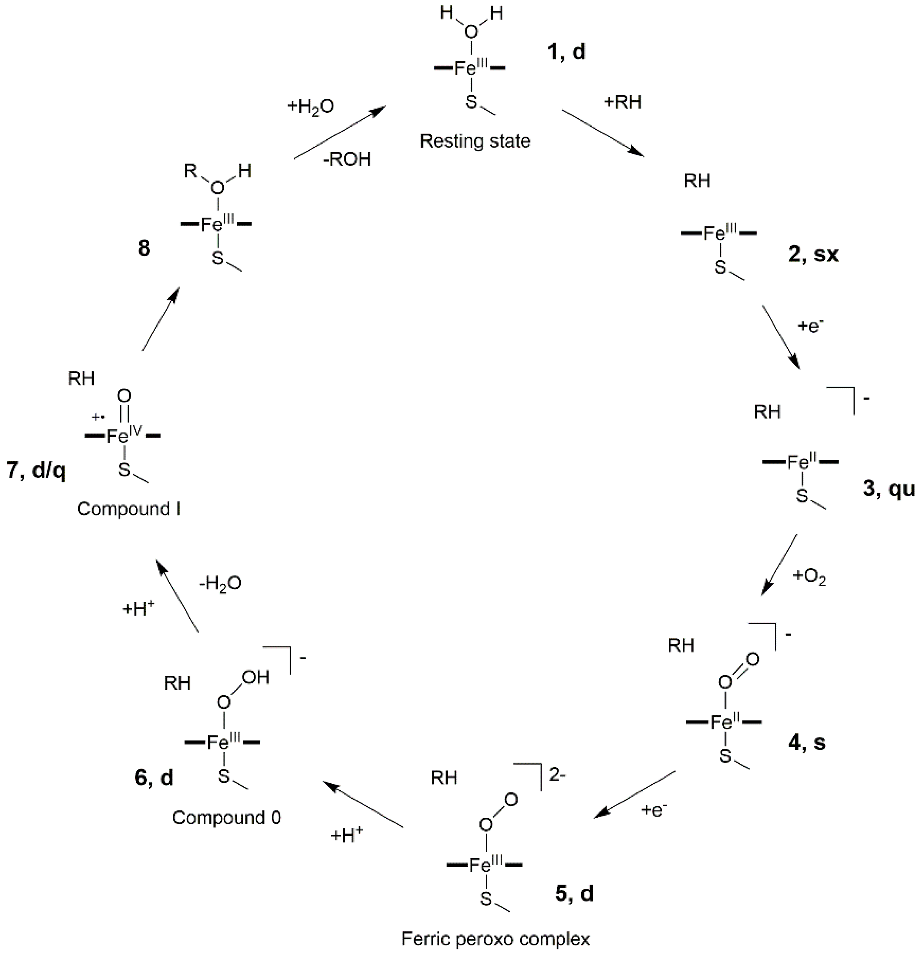 Catalysts 09 00081 g002 Catalysts 09 00081 g002