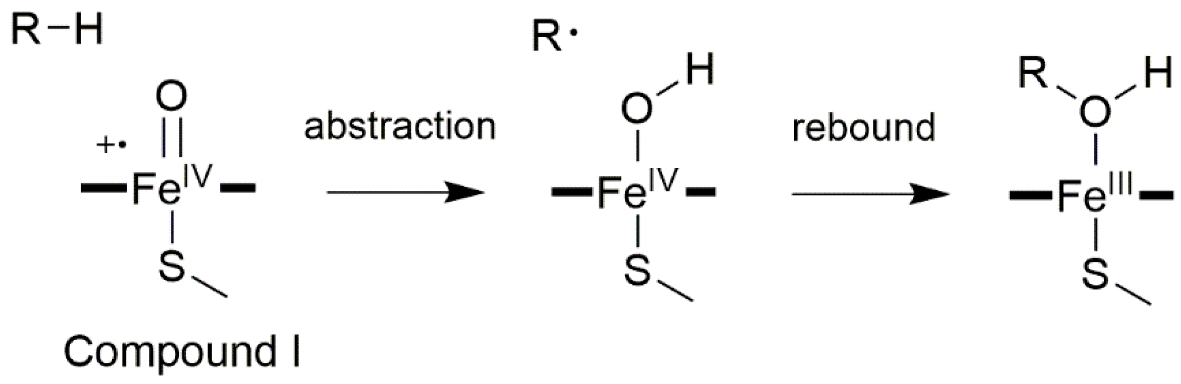 Catalysts 09 00081 g003 Catalysts 09 00081 g003