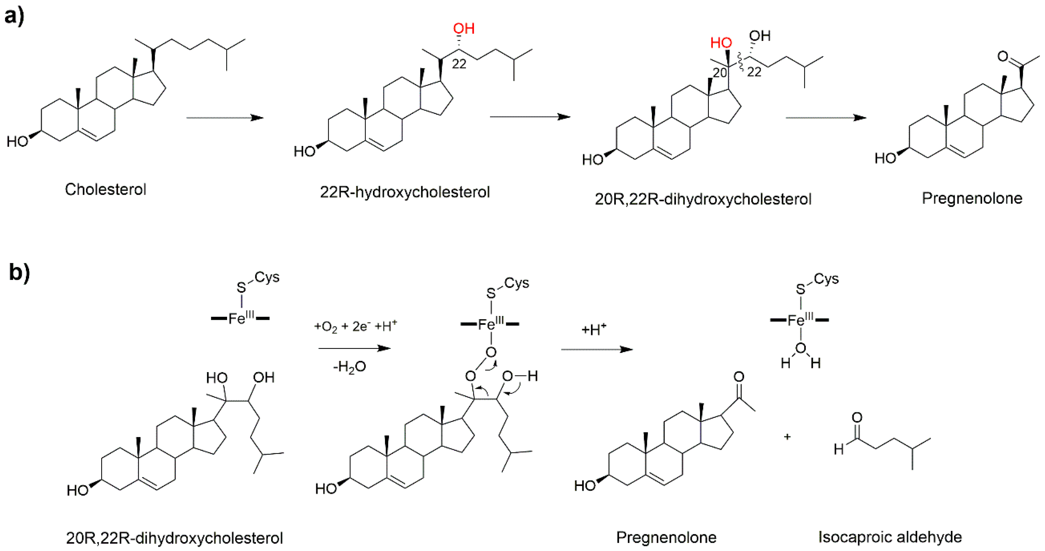 Catalysts 09 00081 g004 Catalysts 09 00081 g004