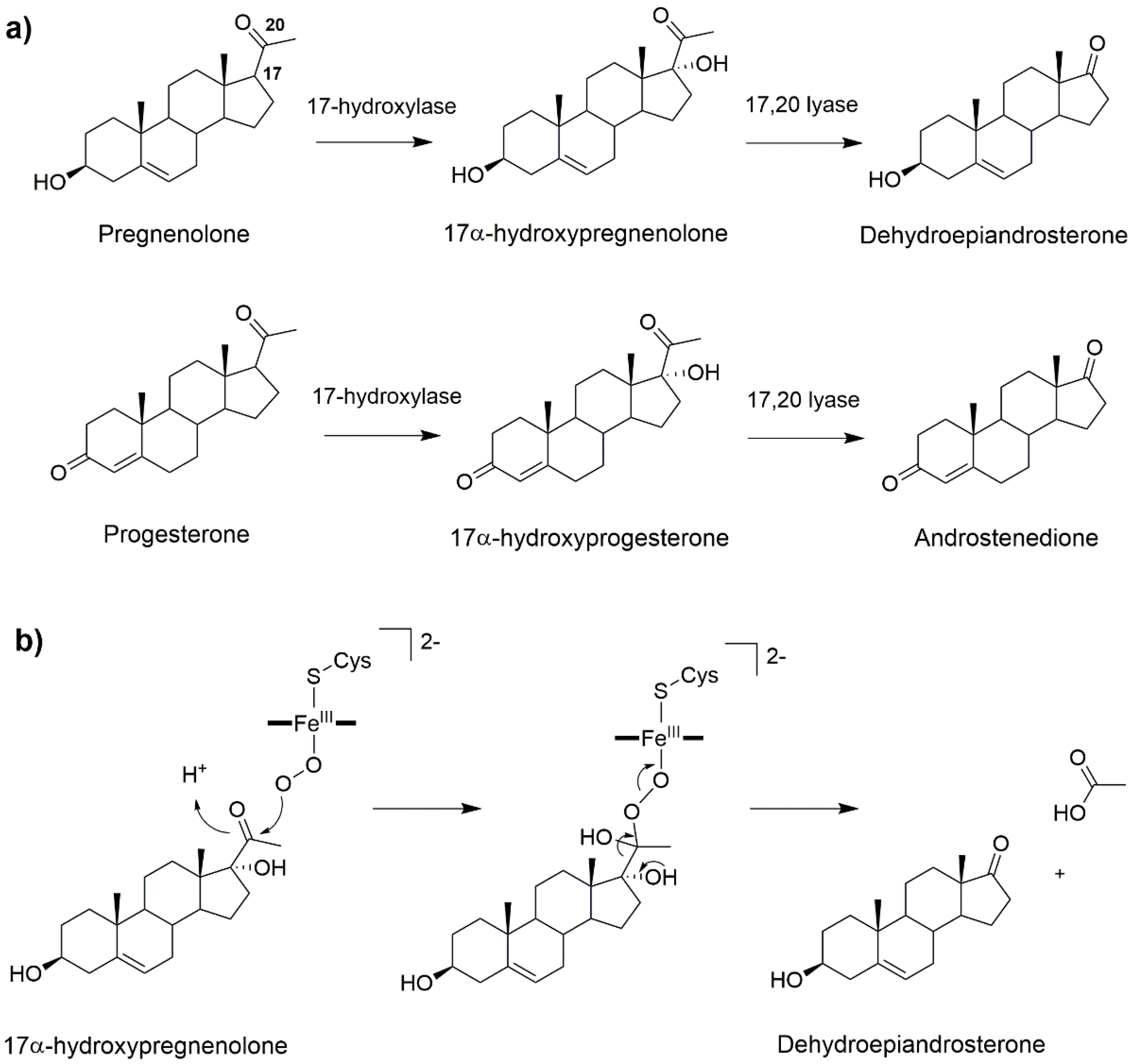 Catalysts 09 00081 g005 Catalysts 09 00081 g005