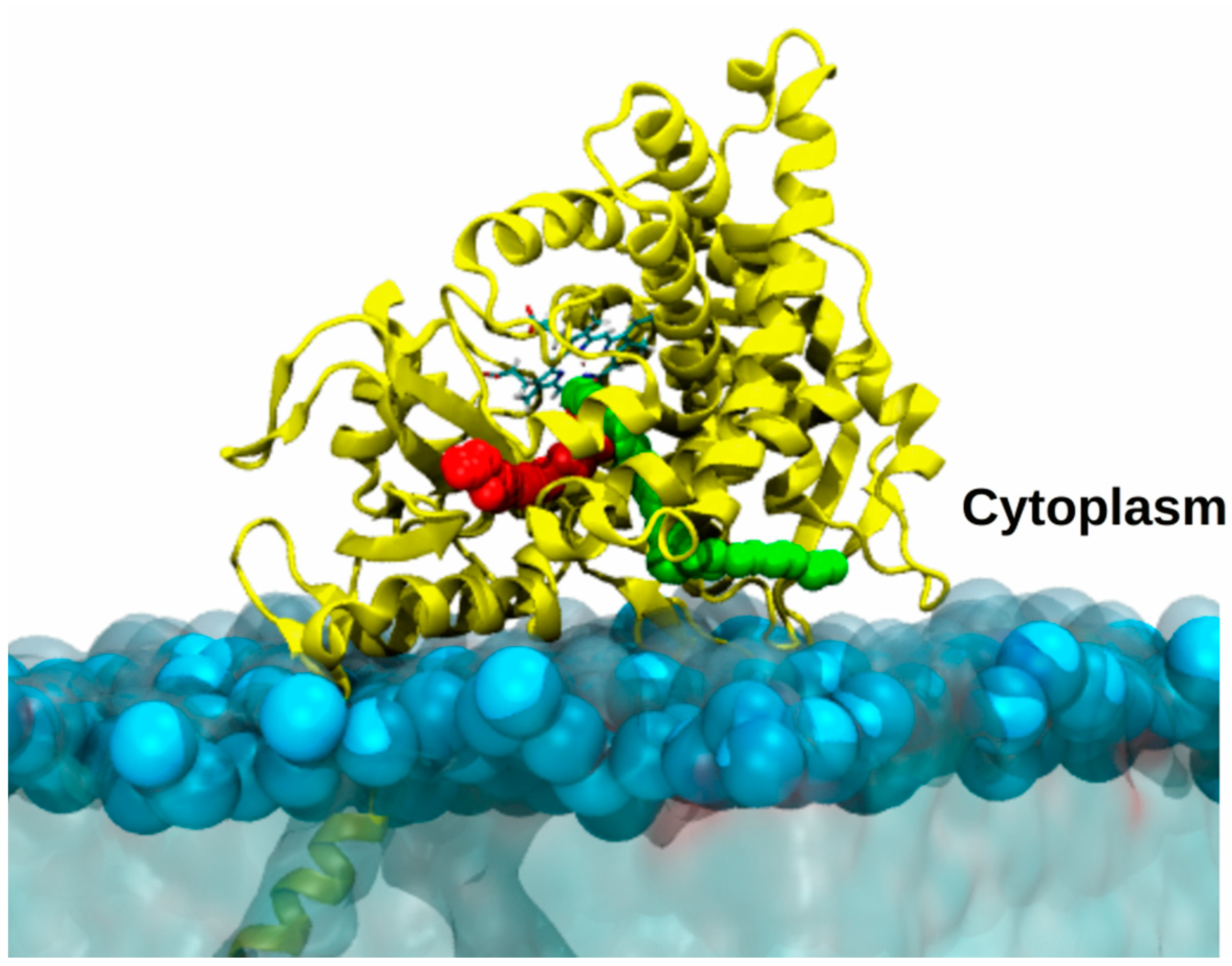 Catalysts 09 00081 g008 Catalysts 09 00081 g008