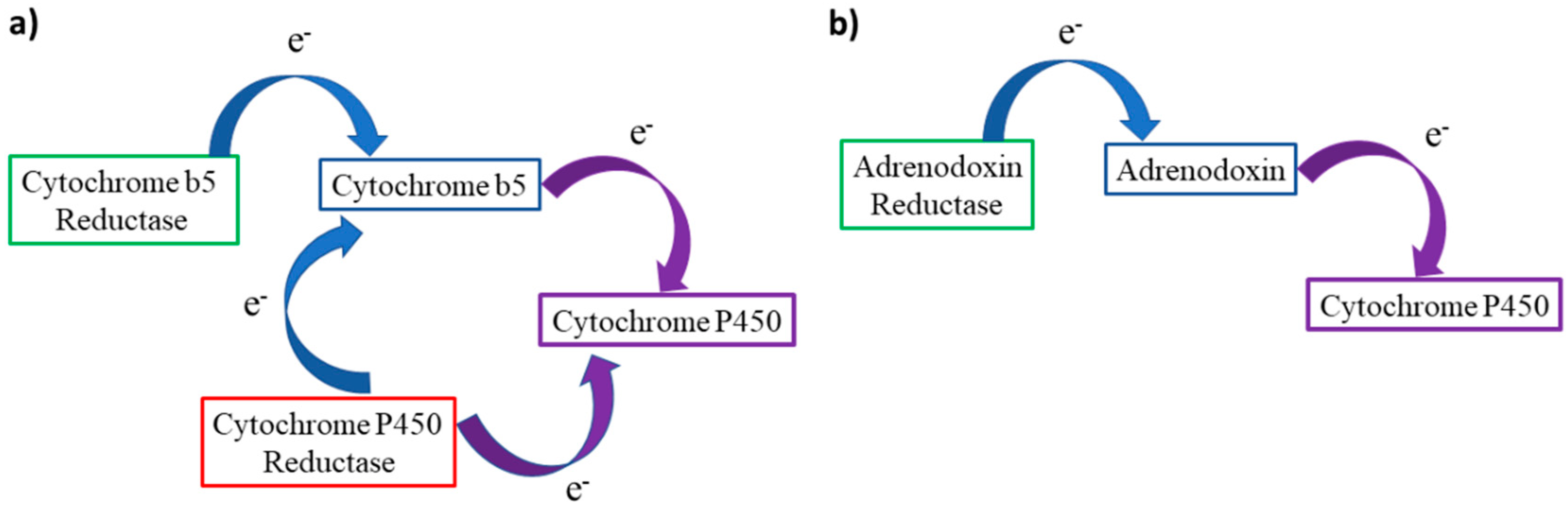 Catalysts 09 00081 g010 Catalysts 09 00081 g010