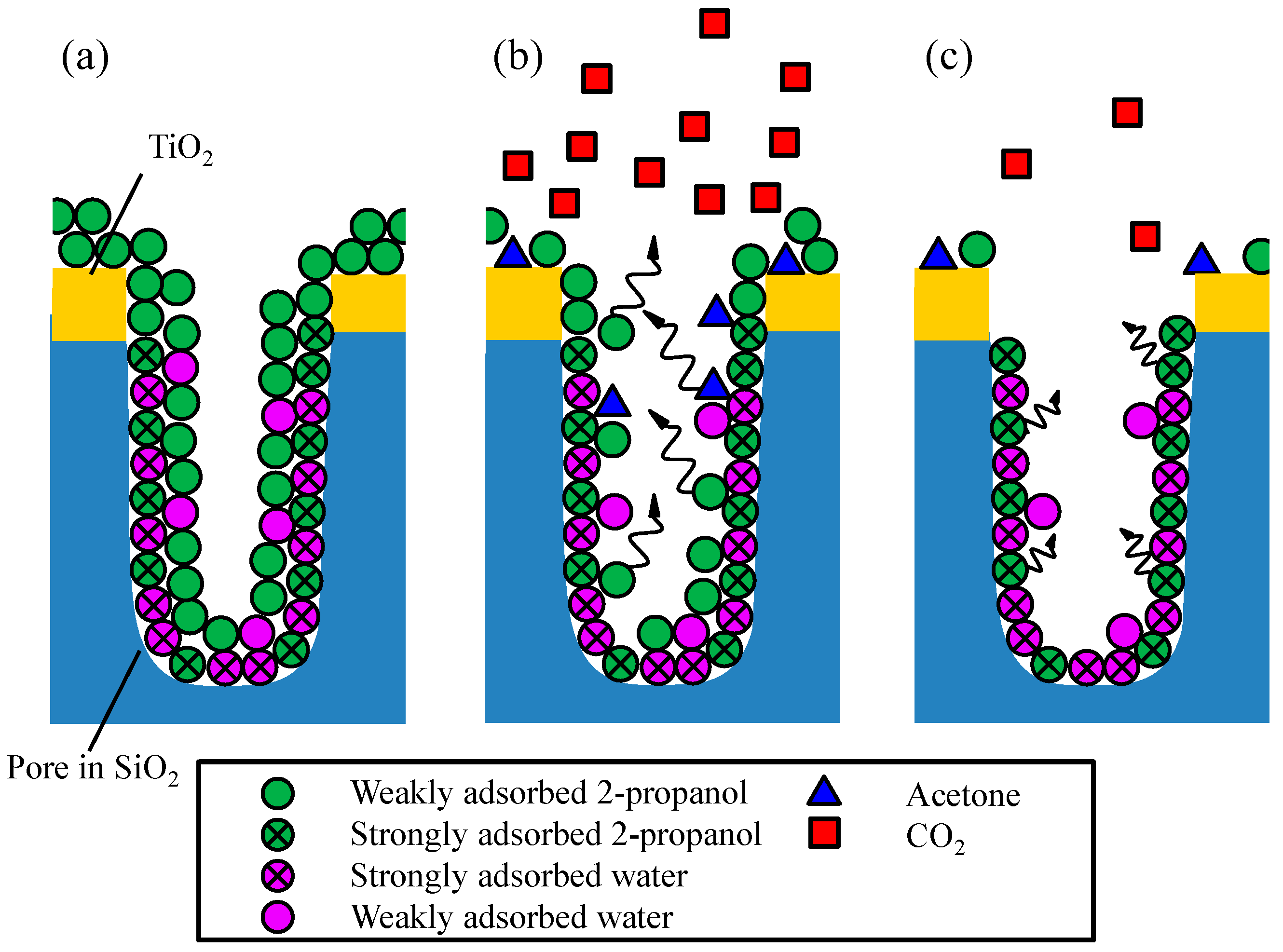 Catalysts 09 00082 g009 Catalysts 09 00082 g009