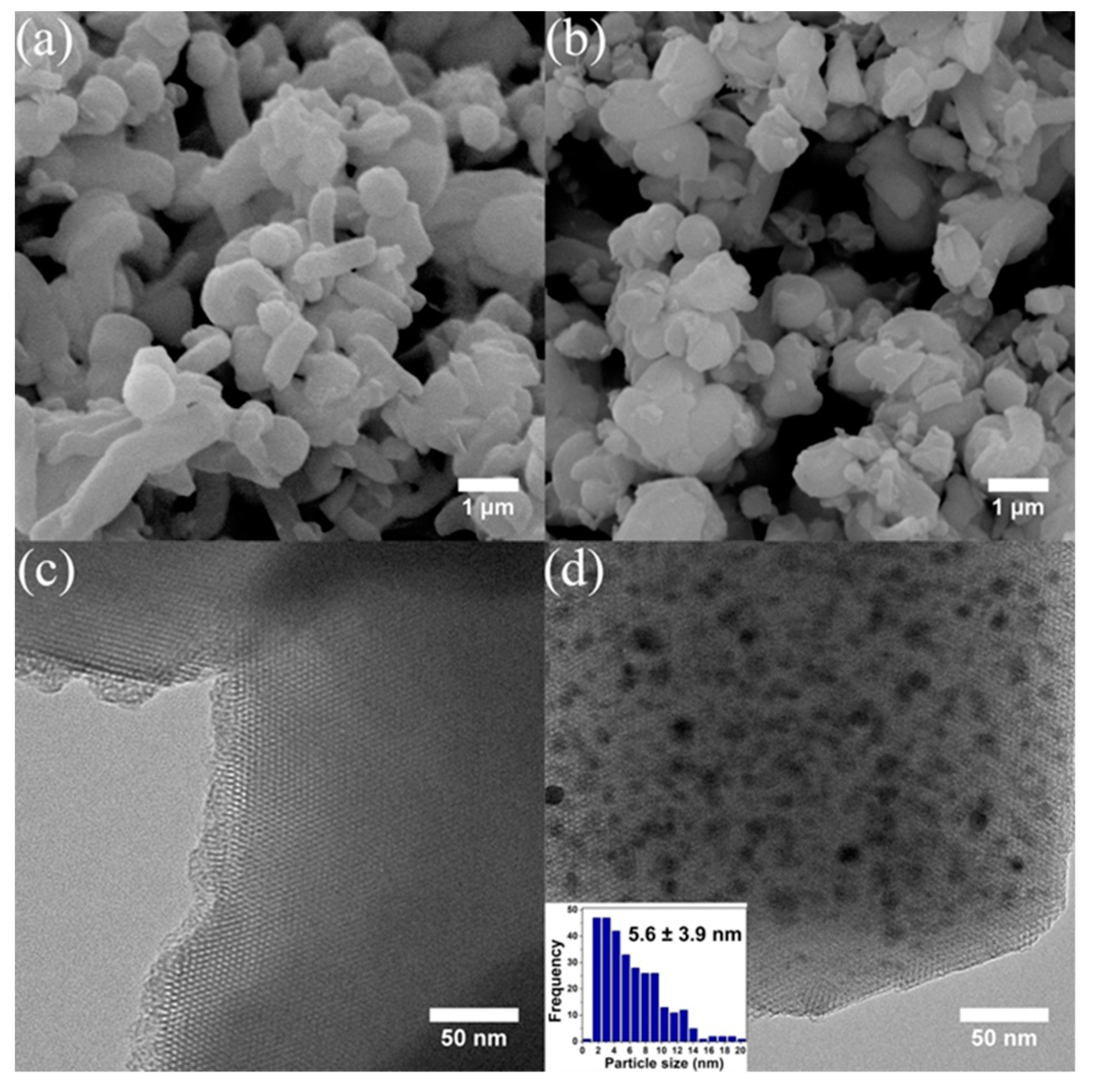 Catalysts 09 00092 g003 Catalysts 09 00092 g003