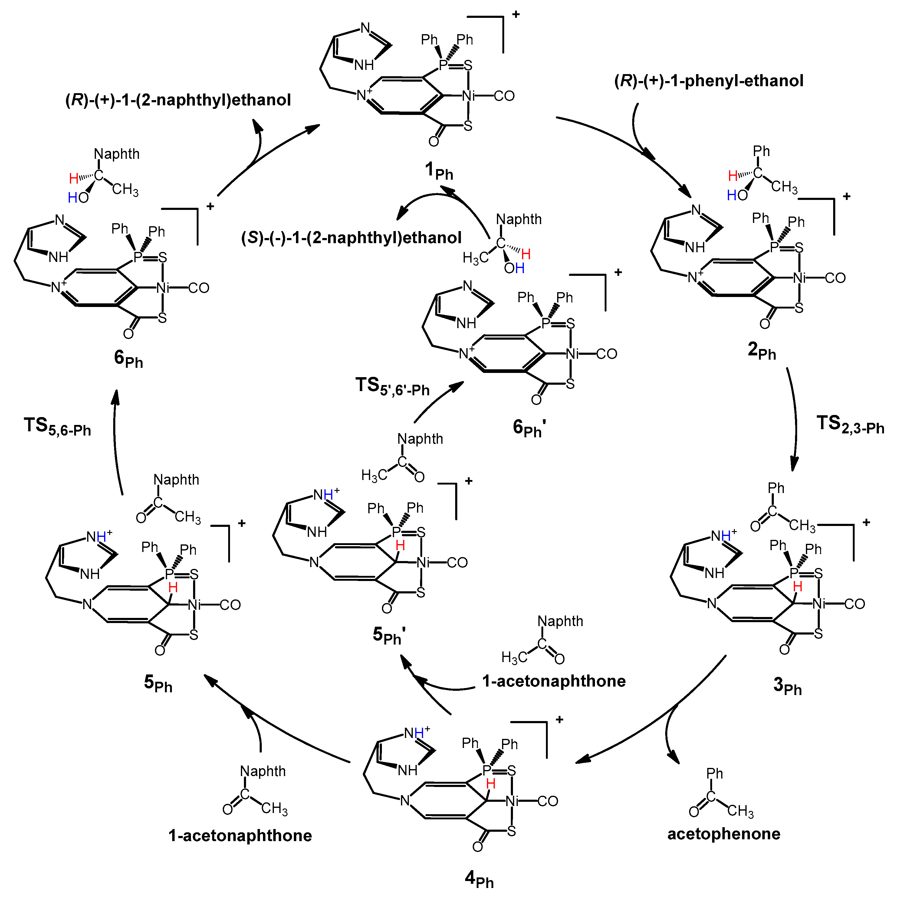 Catalysts 09 00101 sch001 Catalysts 09 00101 sch001