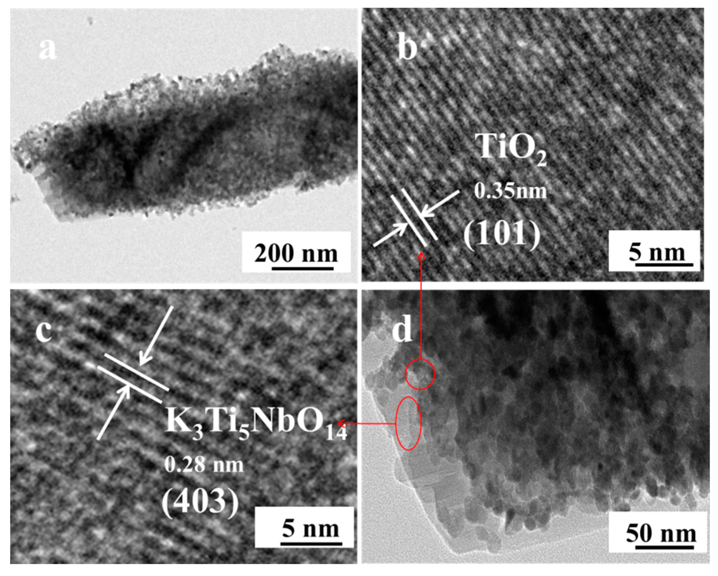 Catalysts 09 00106 g003