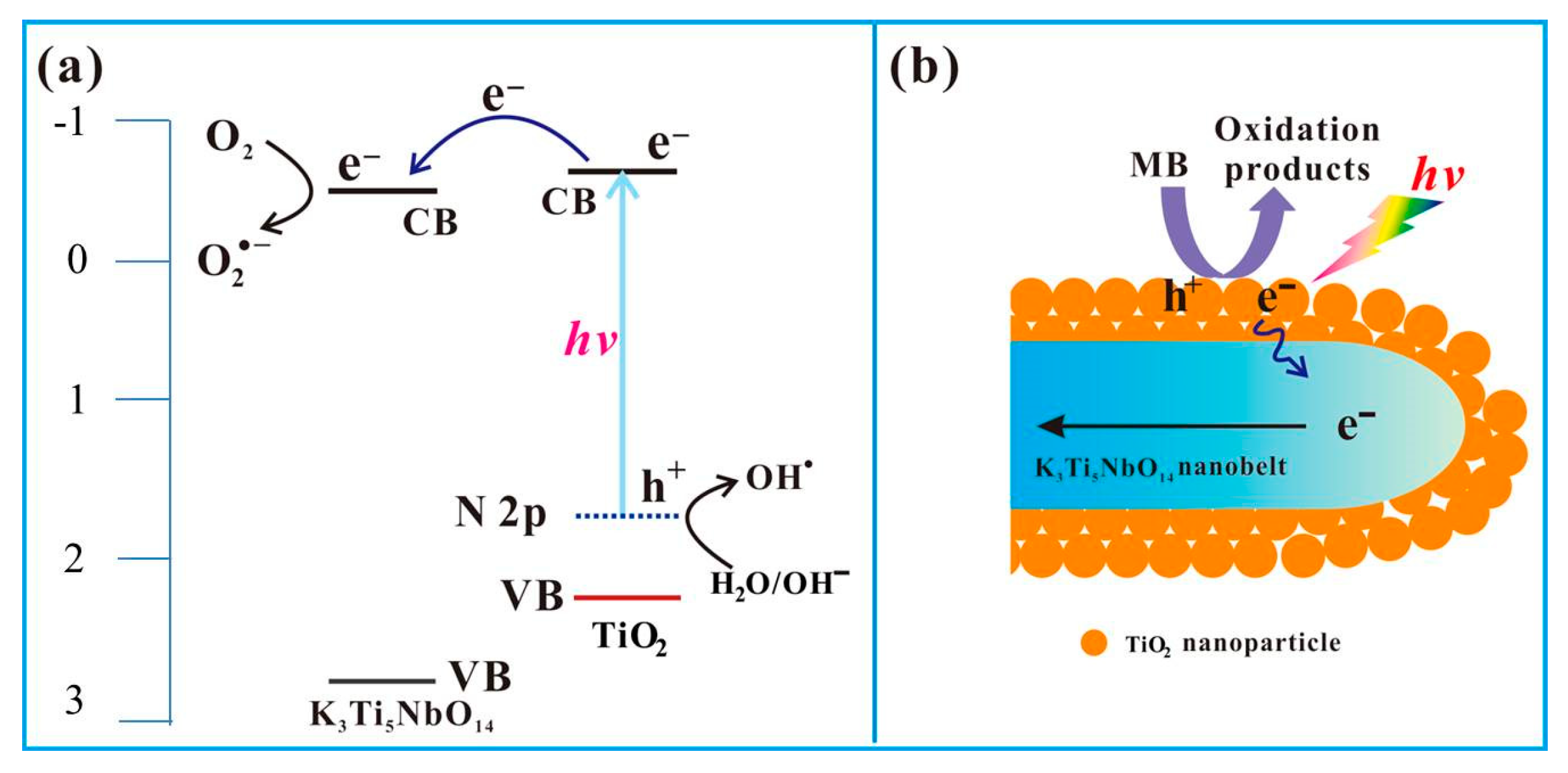 Catalysts 09 00106 g010