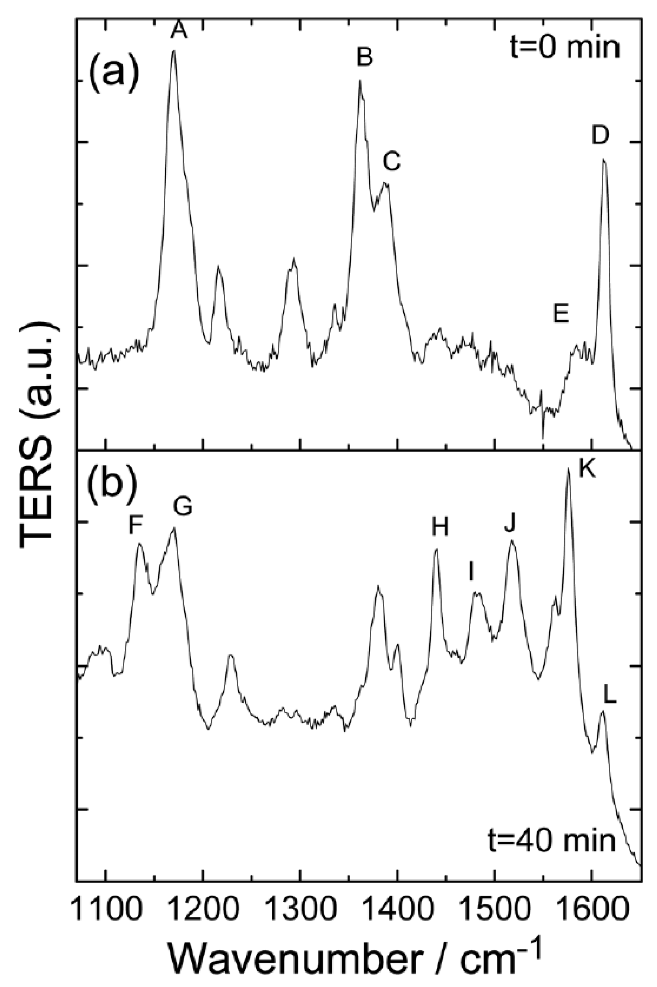Catalysts 09 00109 g005