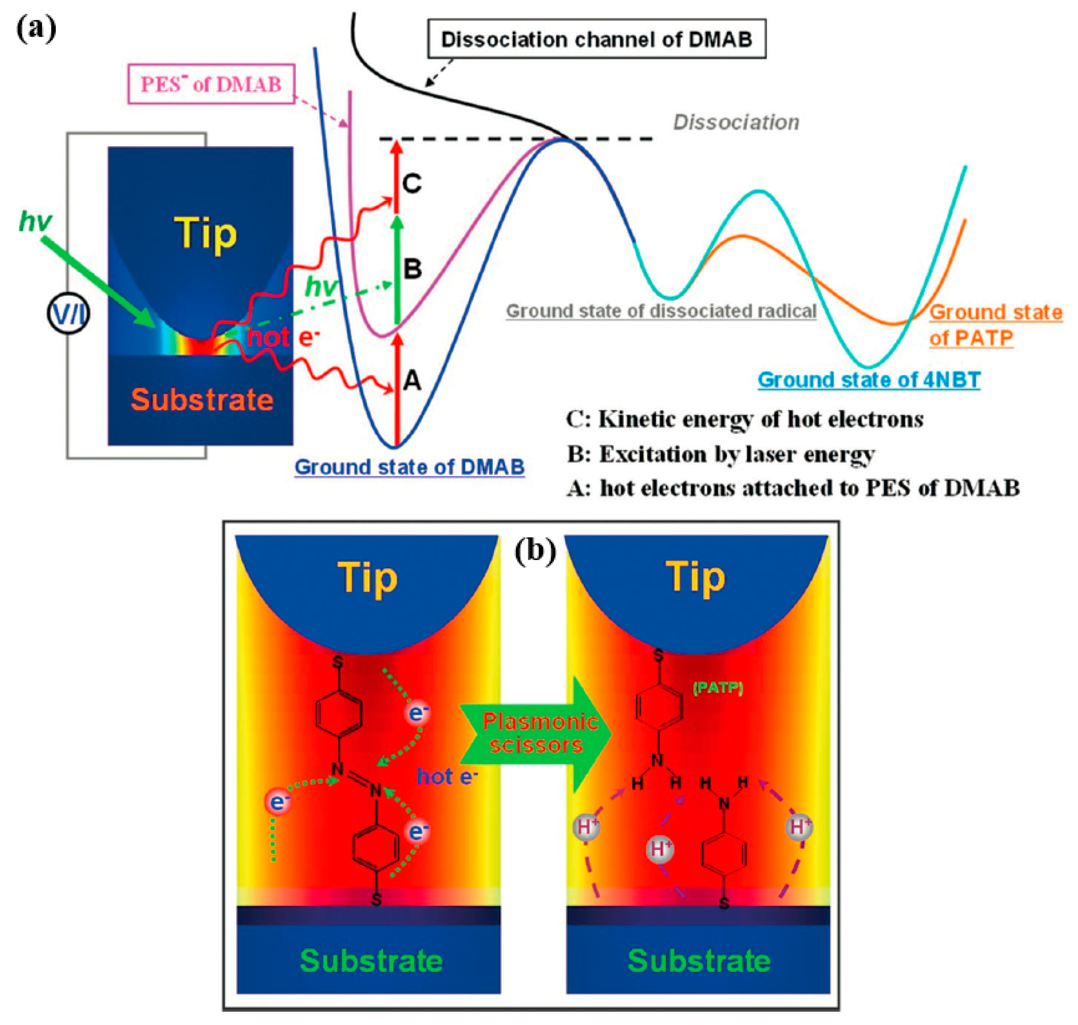 Catalysts 09 00109 g011