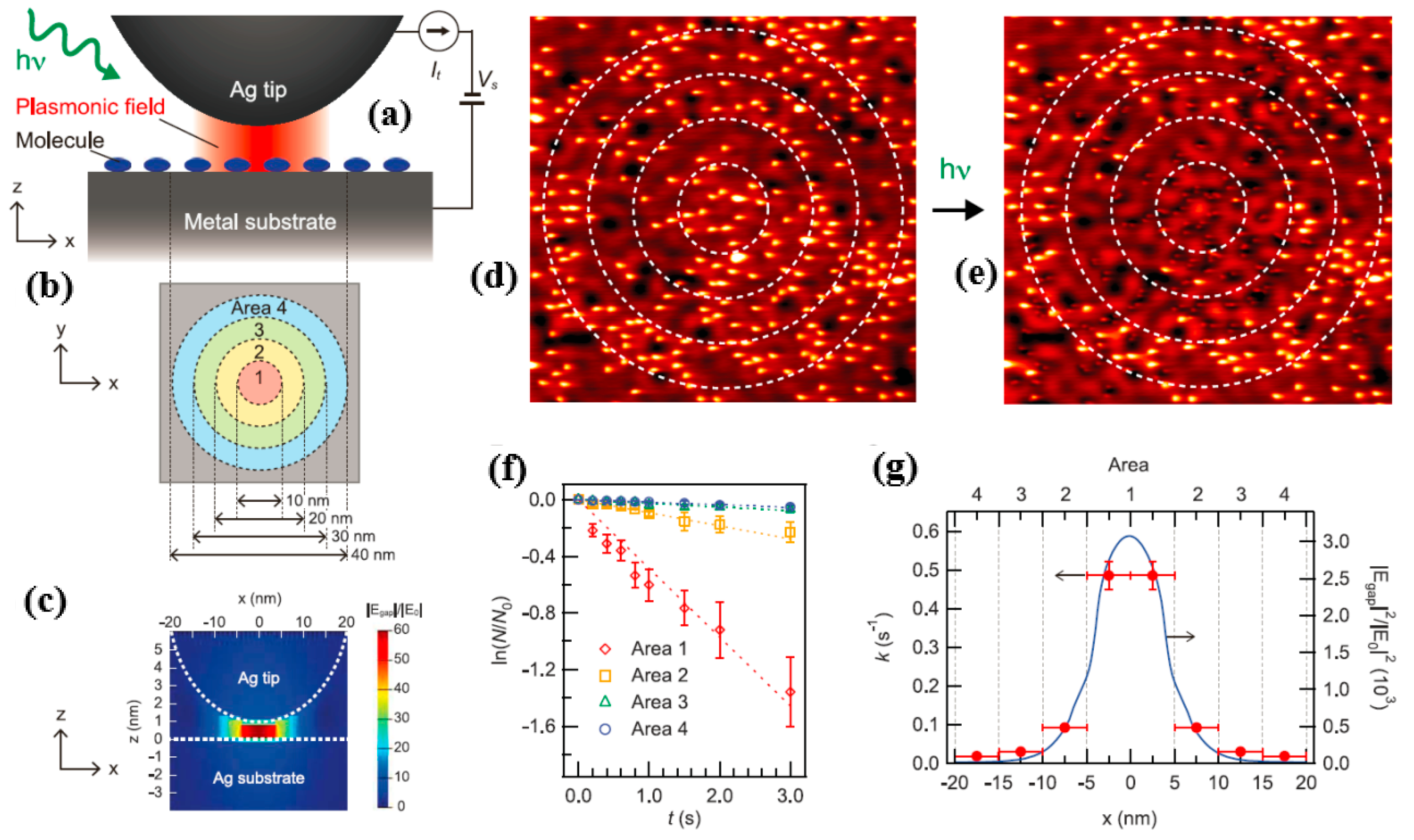 Catalysts 09 00109 g013