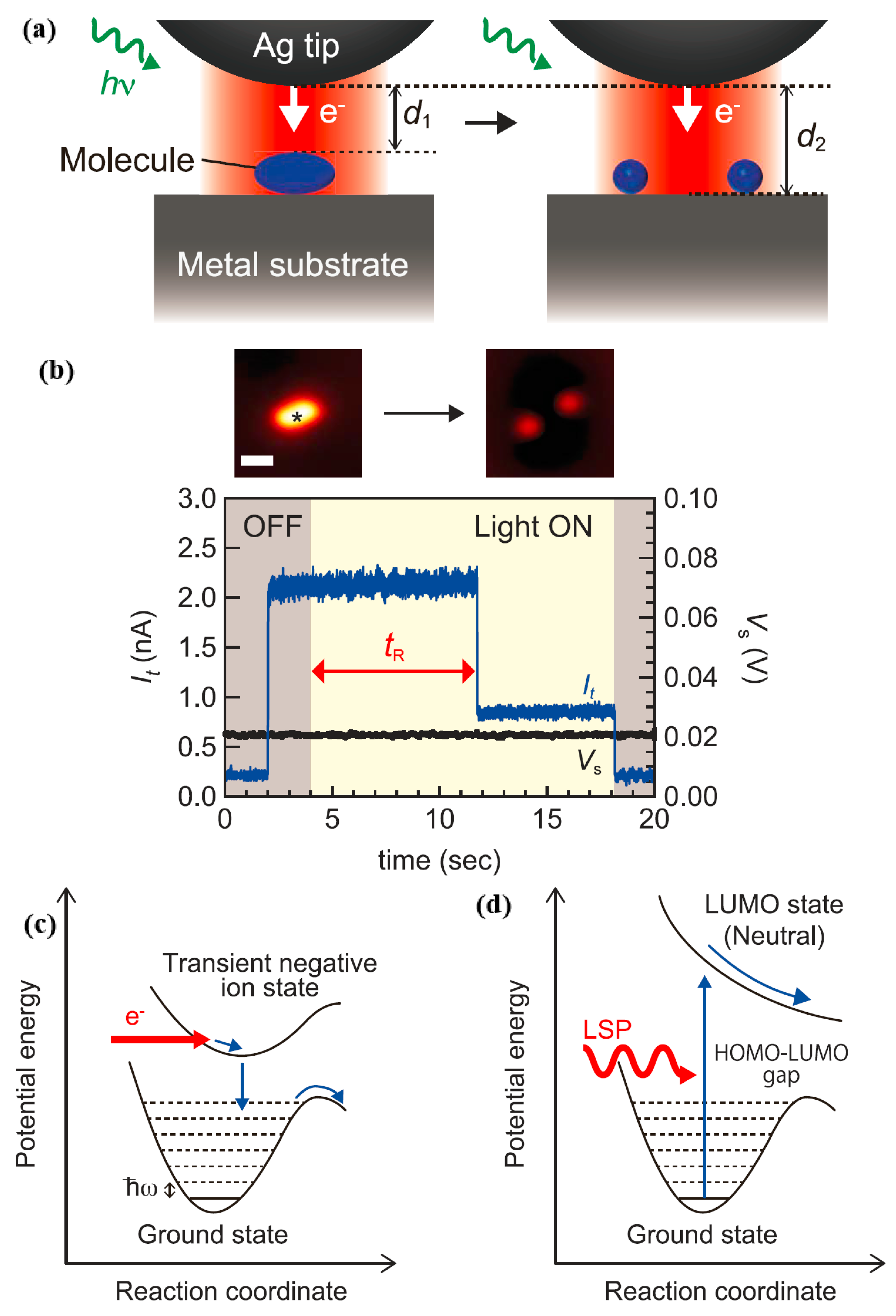 Catalysts 09 00109 g015