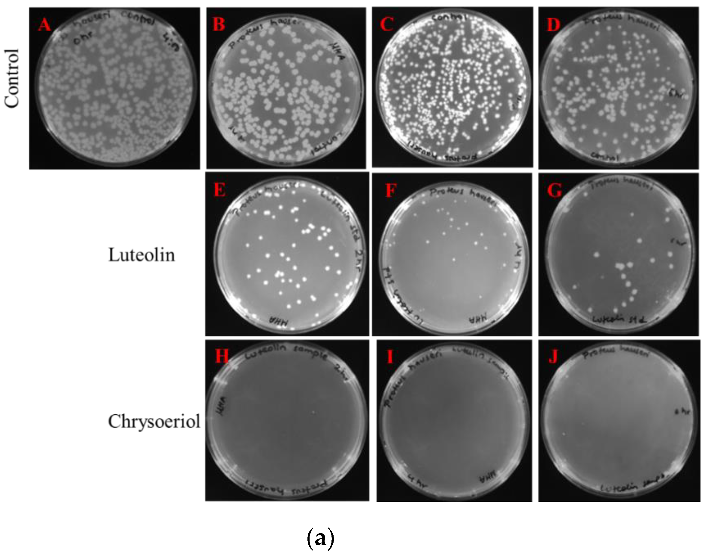 Catalysts 09 00112 g005a Catalysts 09 00112 g005a