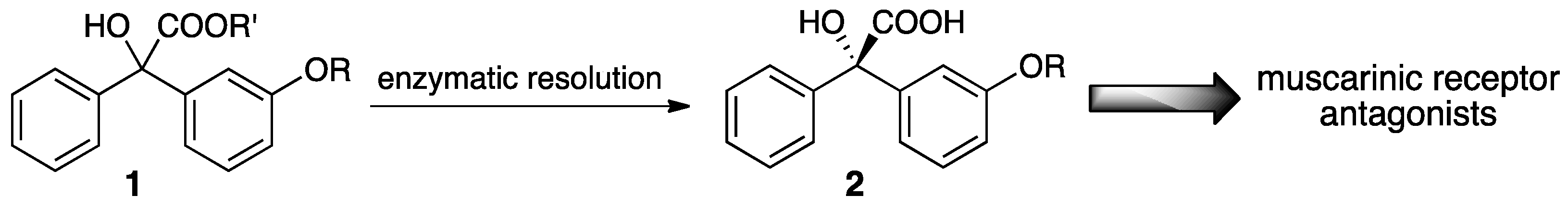 Catalysts 09 00113 g001