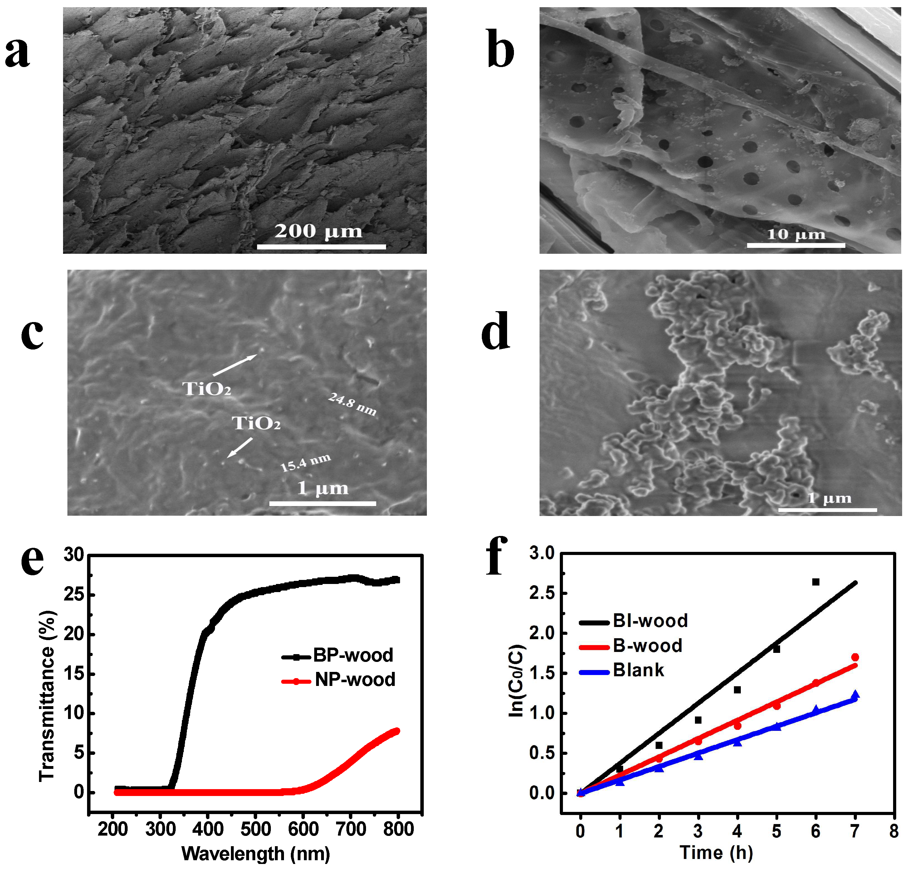 Catalysts 09 00115 g003 Catalysts 09 00115 g003
