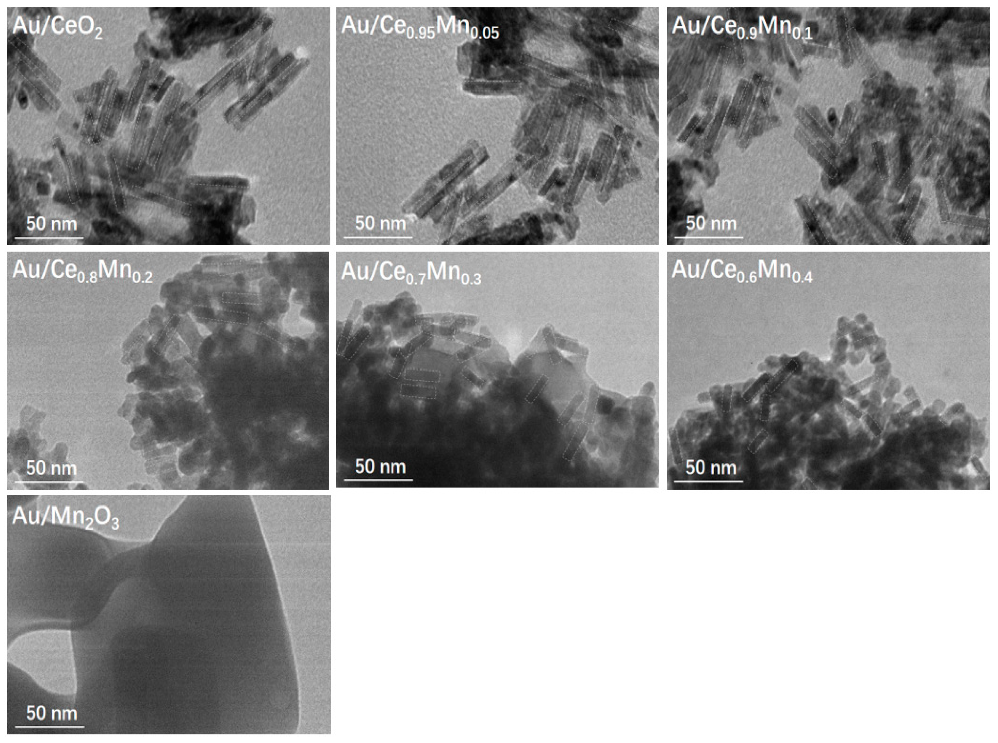 Catalysts 09 00119 g002
