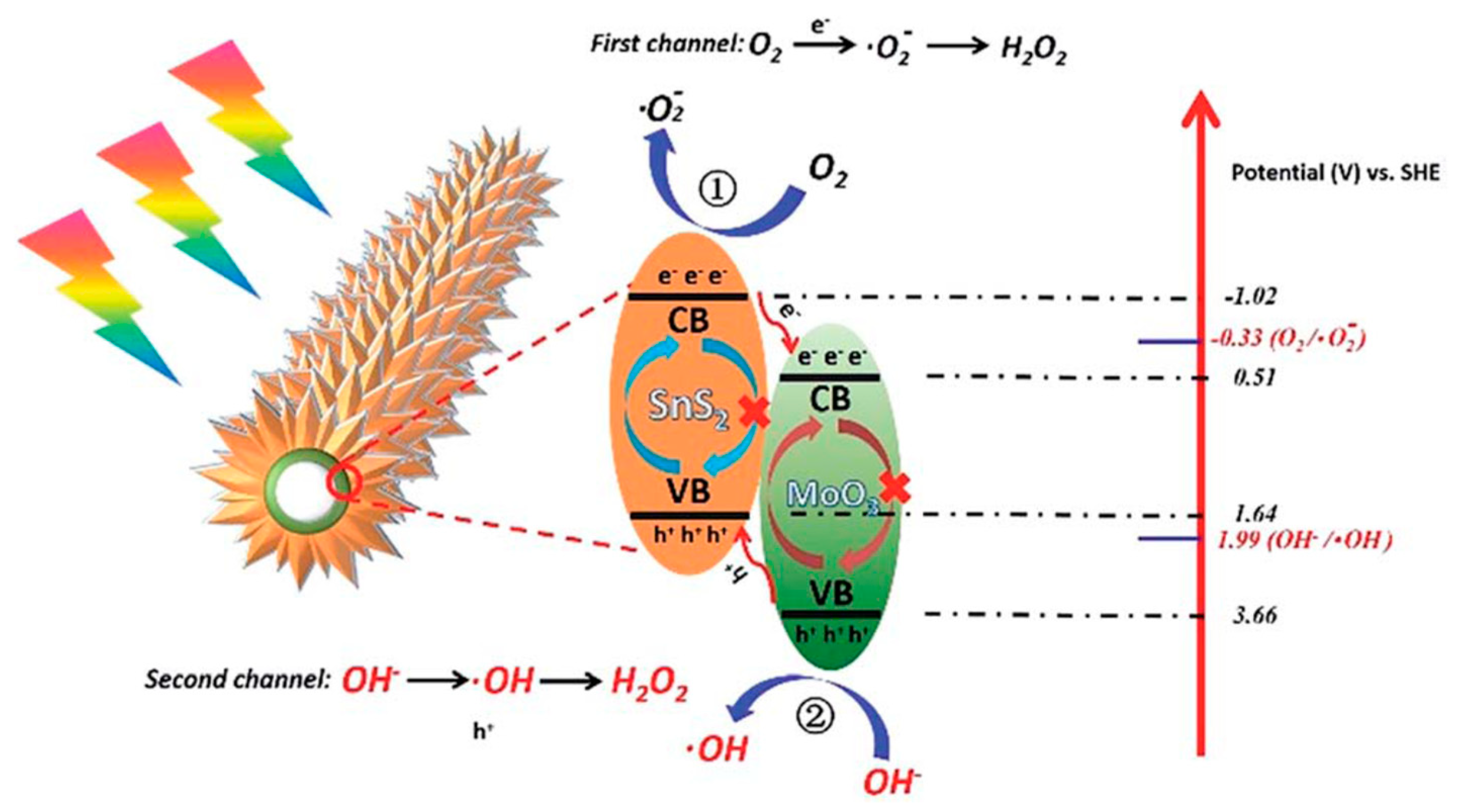 Catalysts 09 00122 g011 Catalysts 09 00122 g011