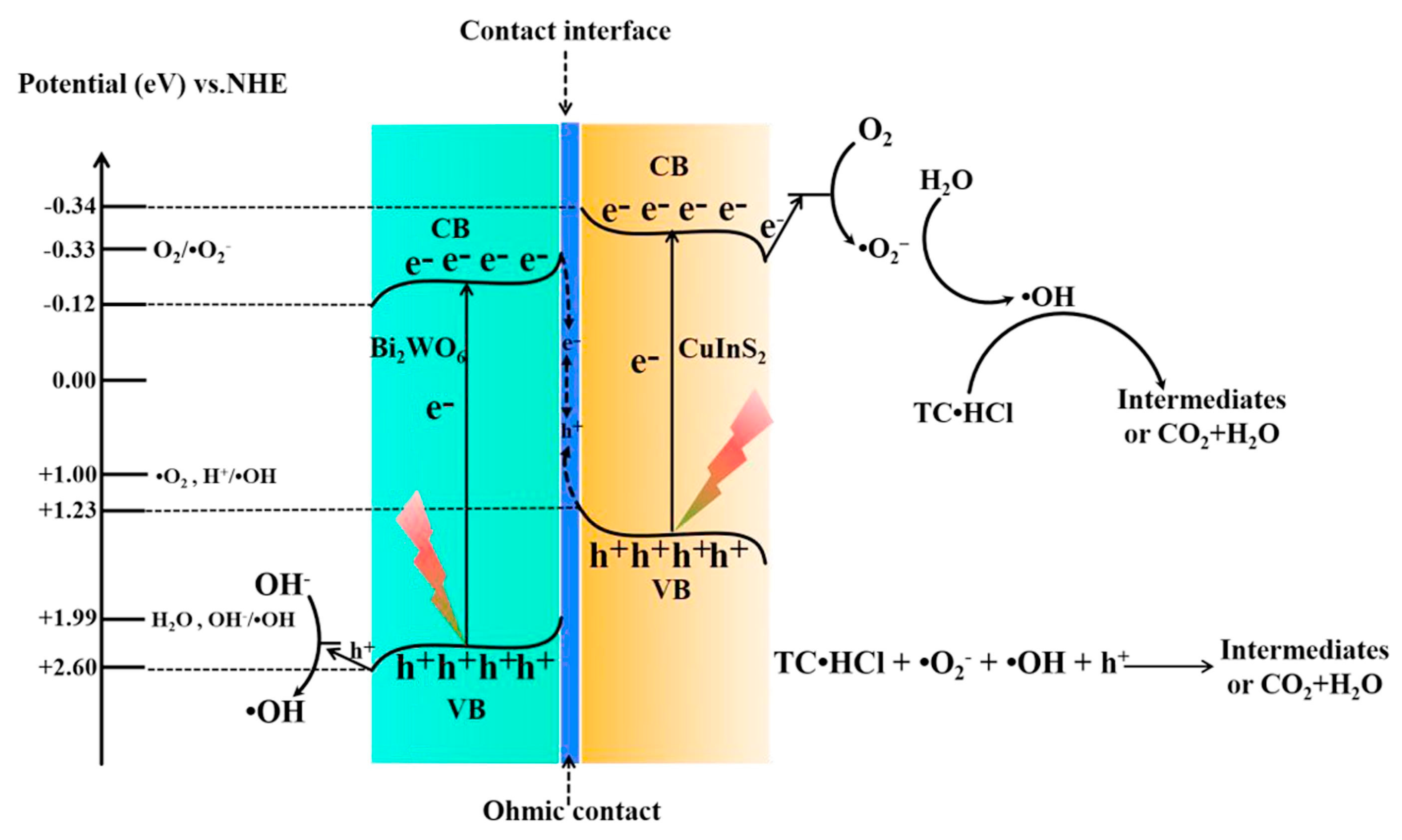 Catalysts 09 00122 g013 Catalysts 09 00122 g013
