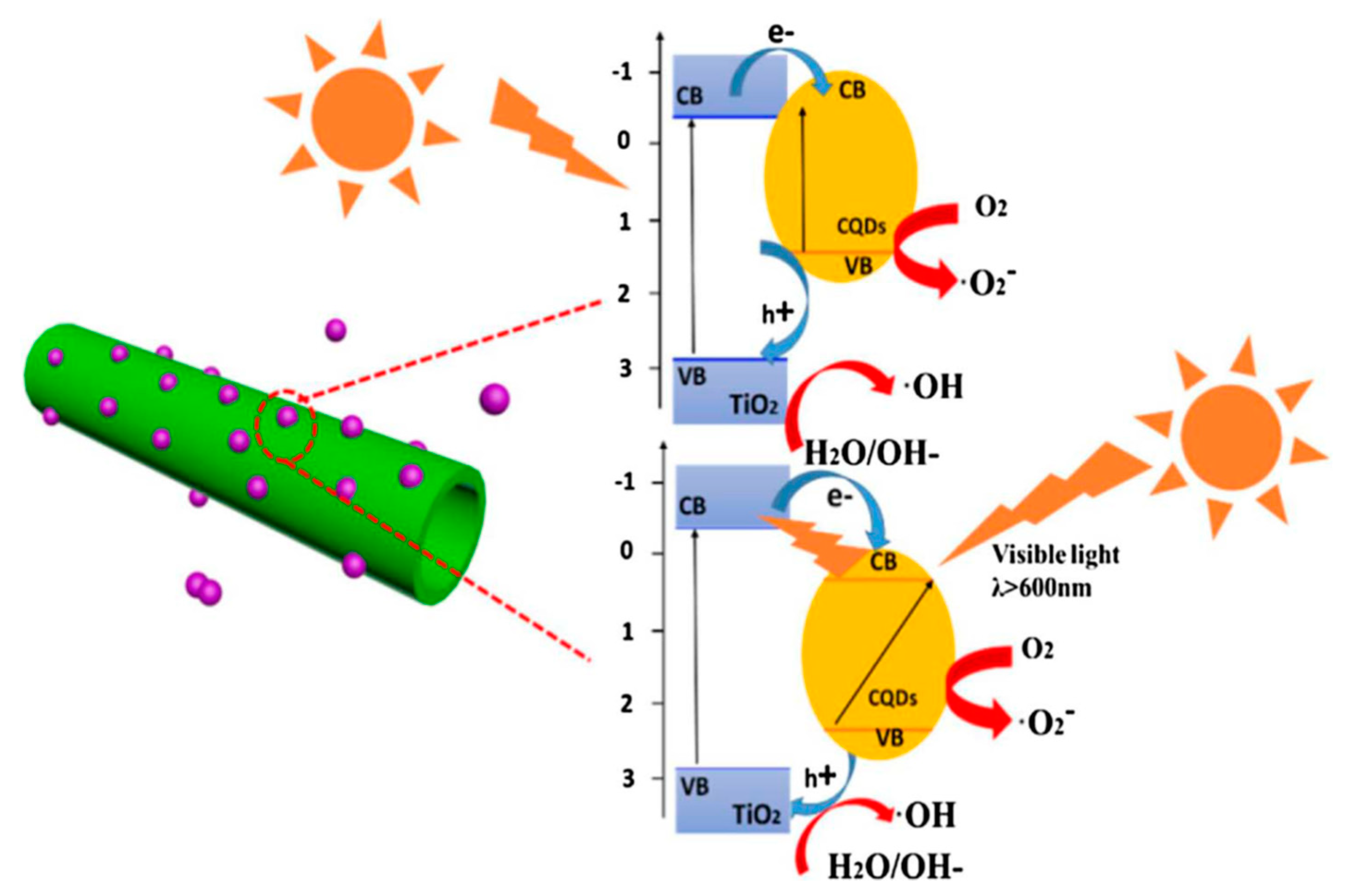 Catalysts 09 00122 g014 Catalysts 09 00122 g014