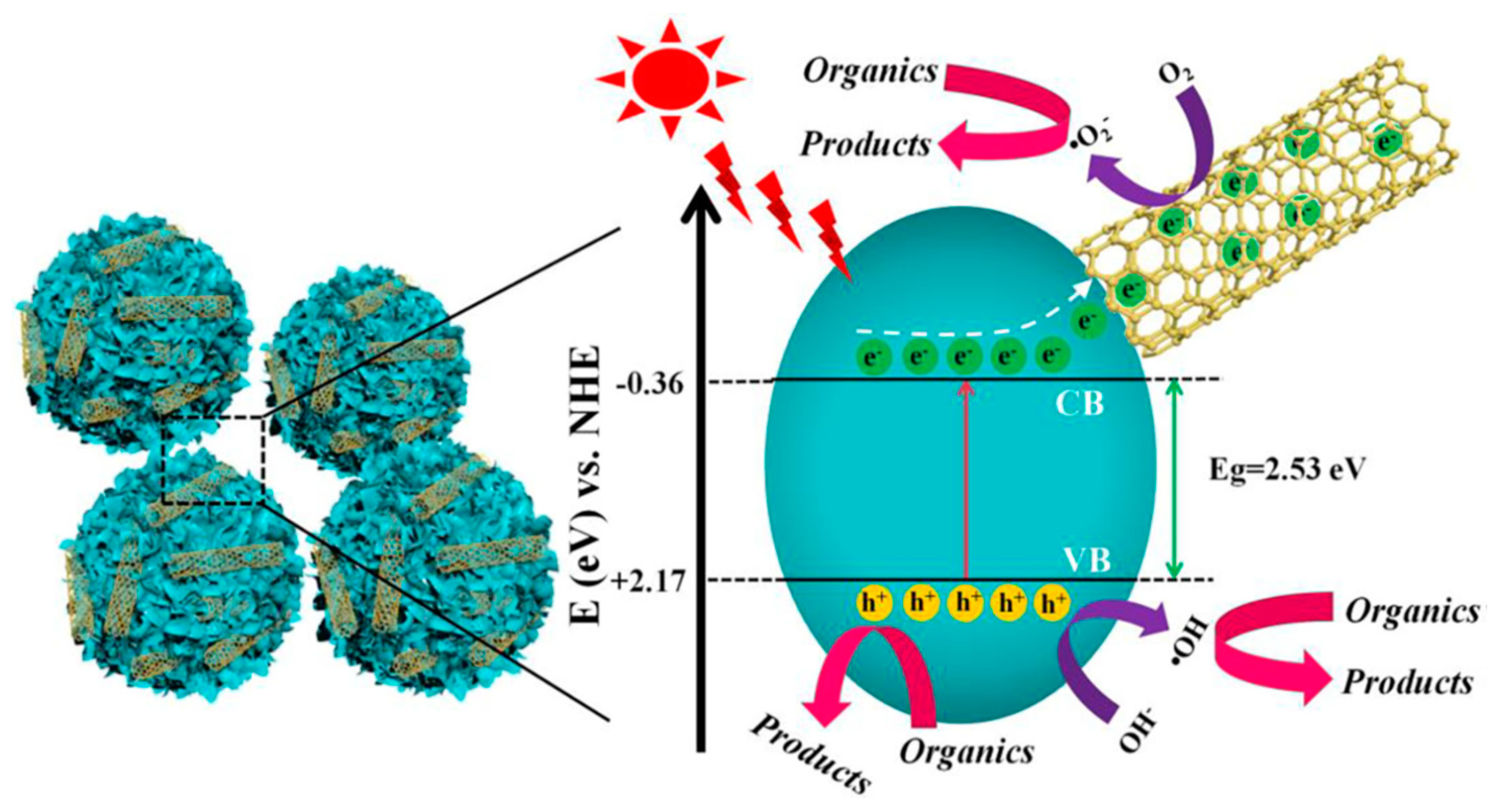 Catalysts 09 00122 g015 Catalysts 09 00122 g015