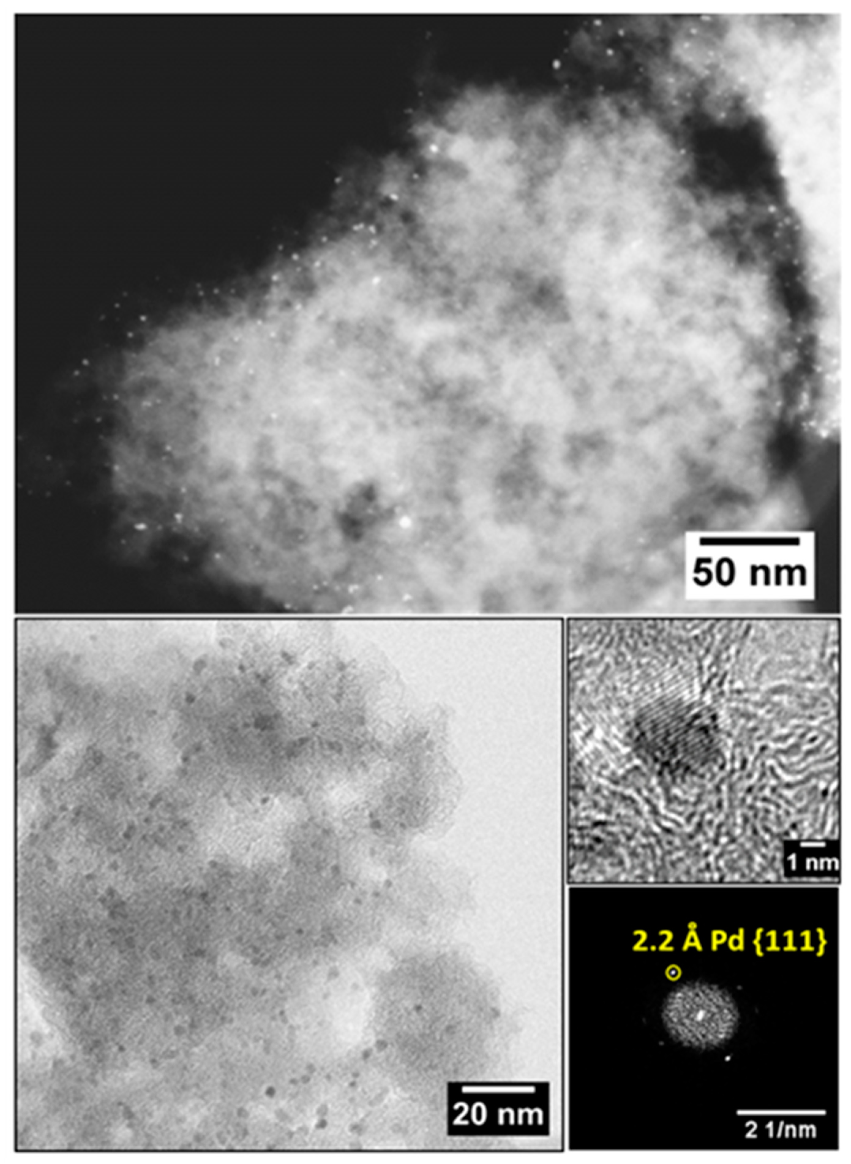 Catalysts 09 00124 g006