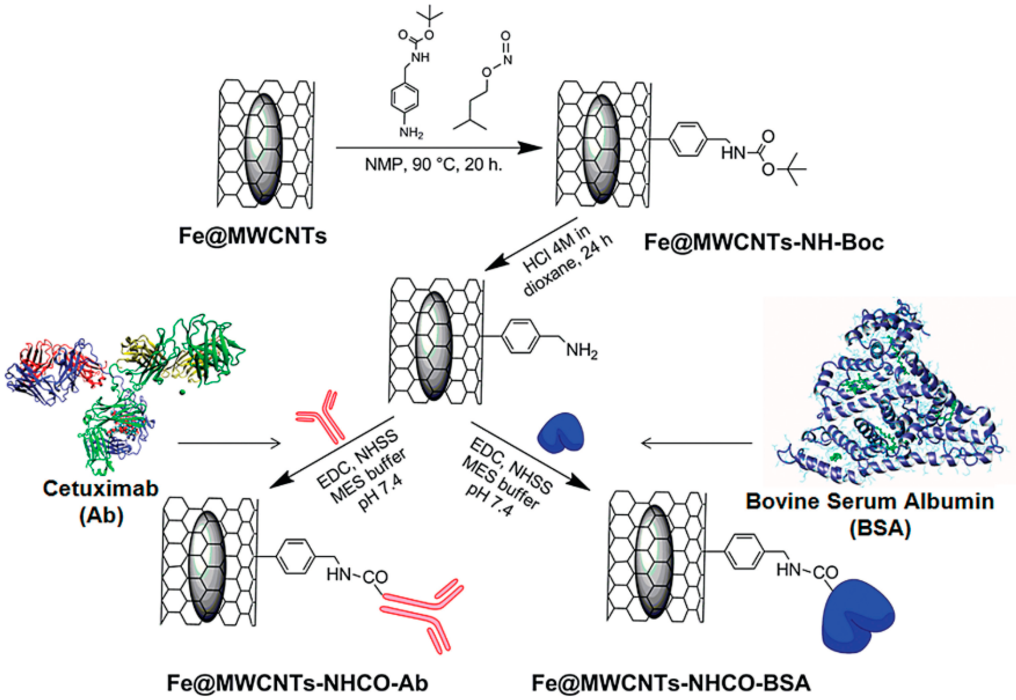 Catalysts 09 00128 g003 550
