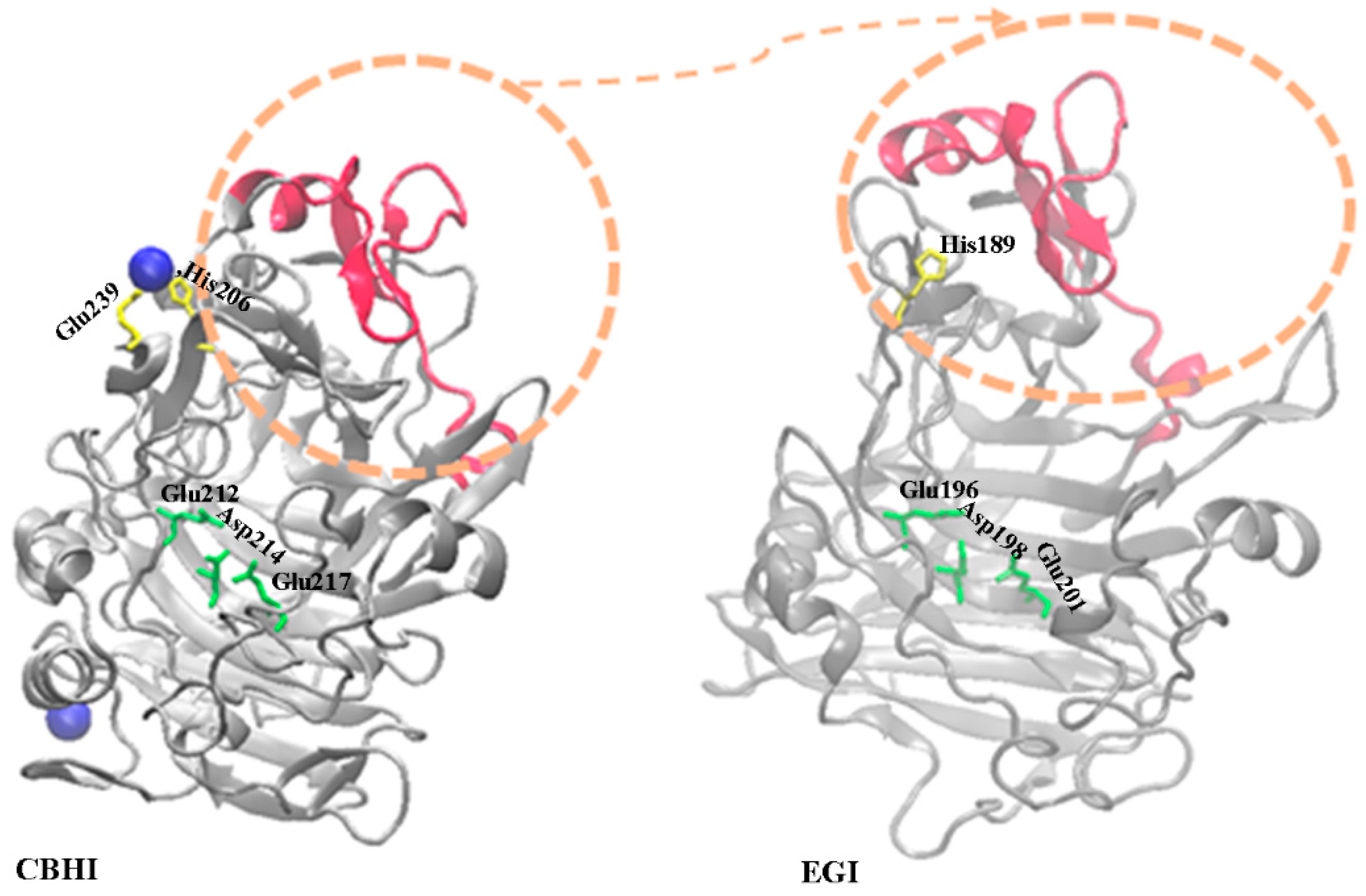 Catalysts 09 00130 g001 Catalysts 09 00130 g001