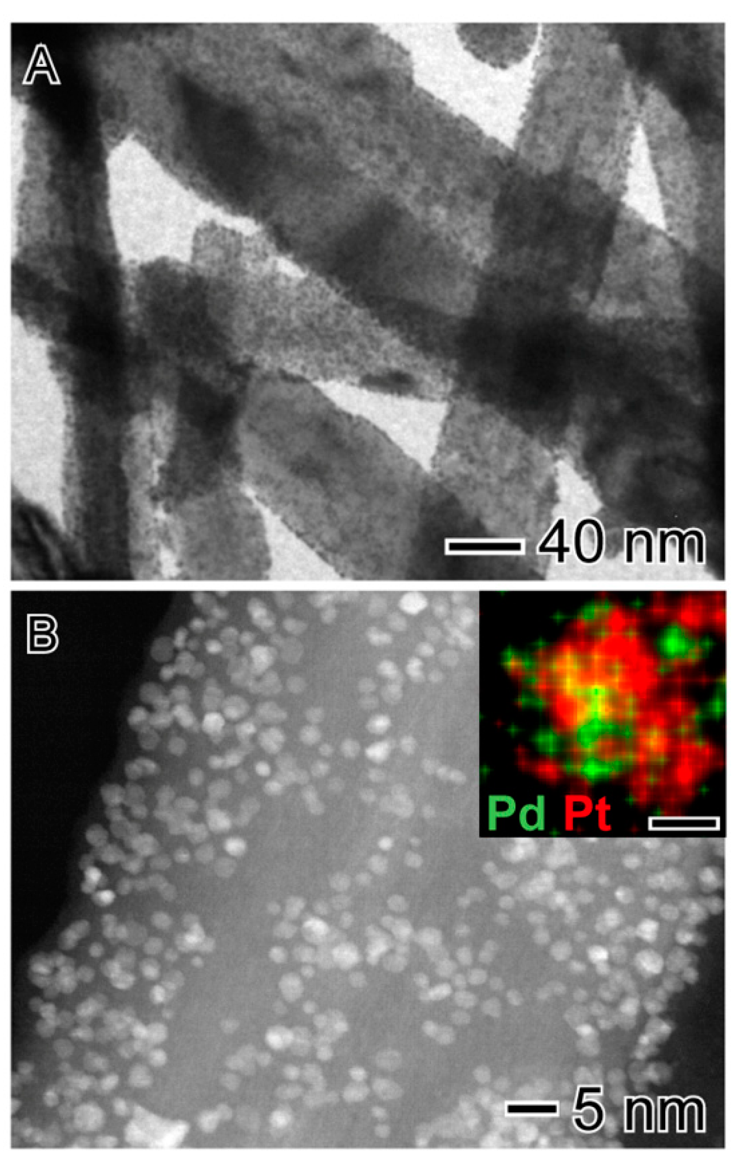 Catalysts 09 00132 g004 Catalysts 09 00132 g004