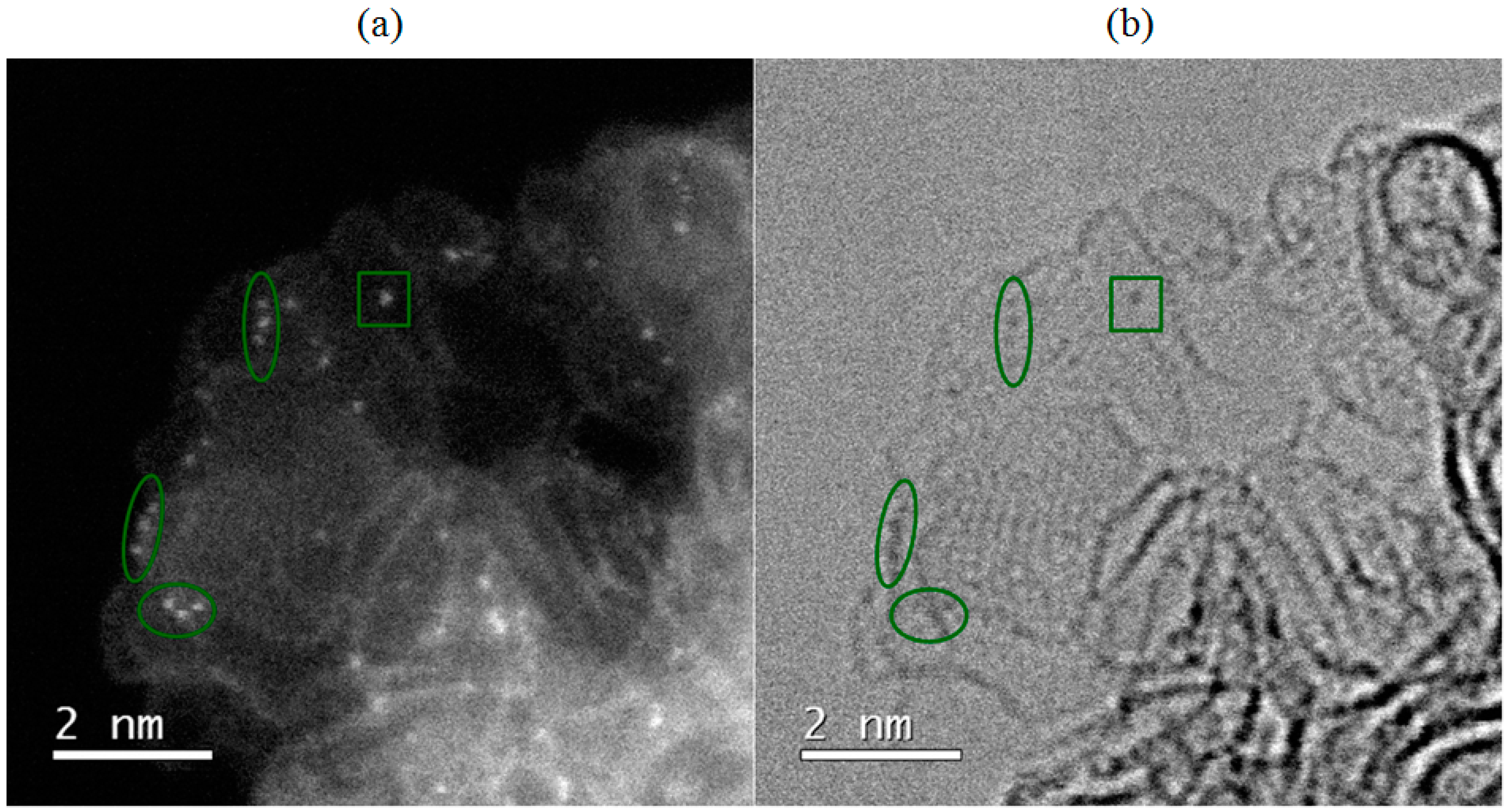 Catalysts 09 00134 g004 550