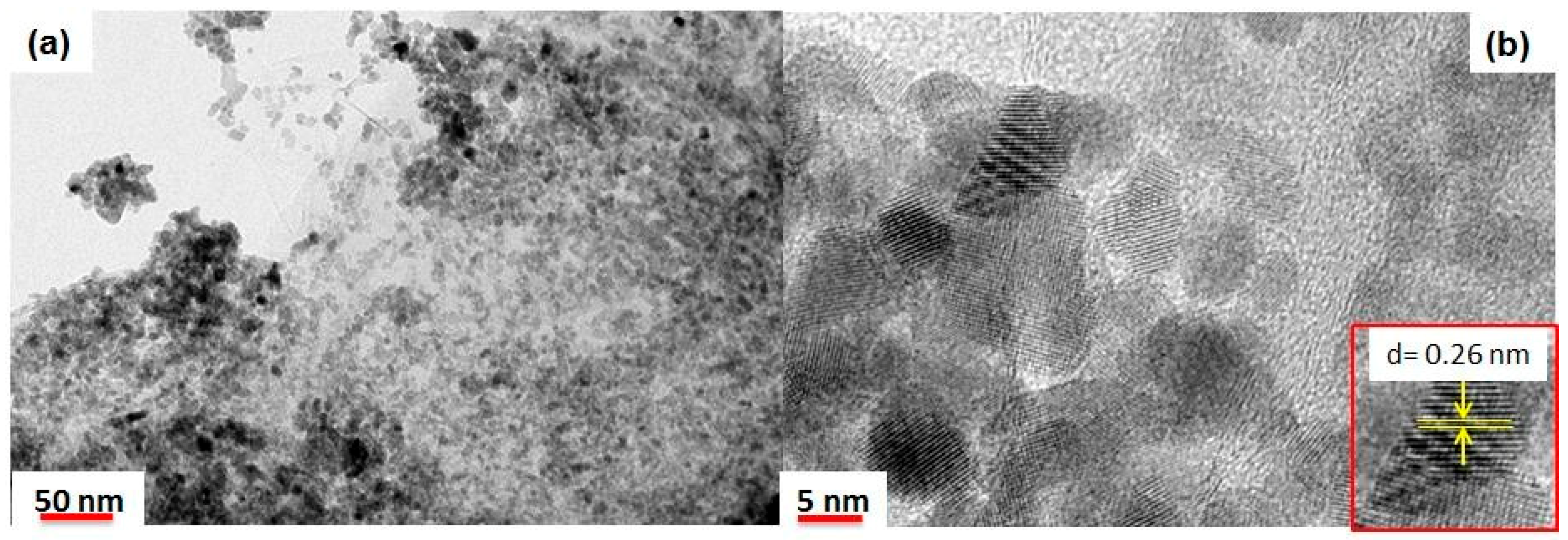 Catalysts 09 00139 g001 Catalysts 09 00139 g001